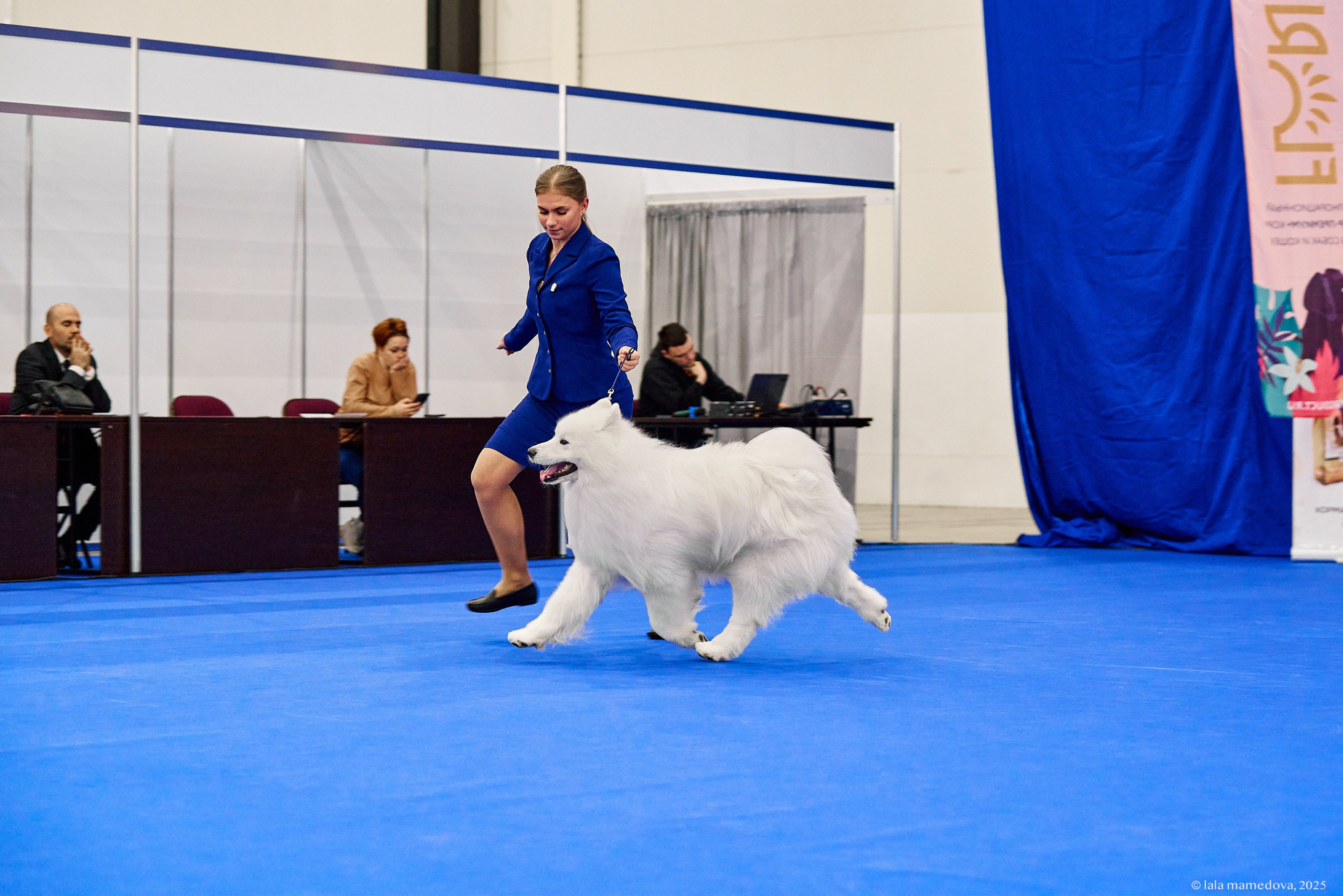 22-23 FEB 2025 | NATIONAL DOG SHOW «BALTIC TRIUMPH-2025»