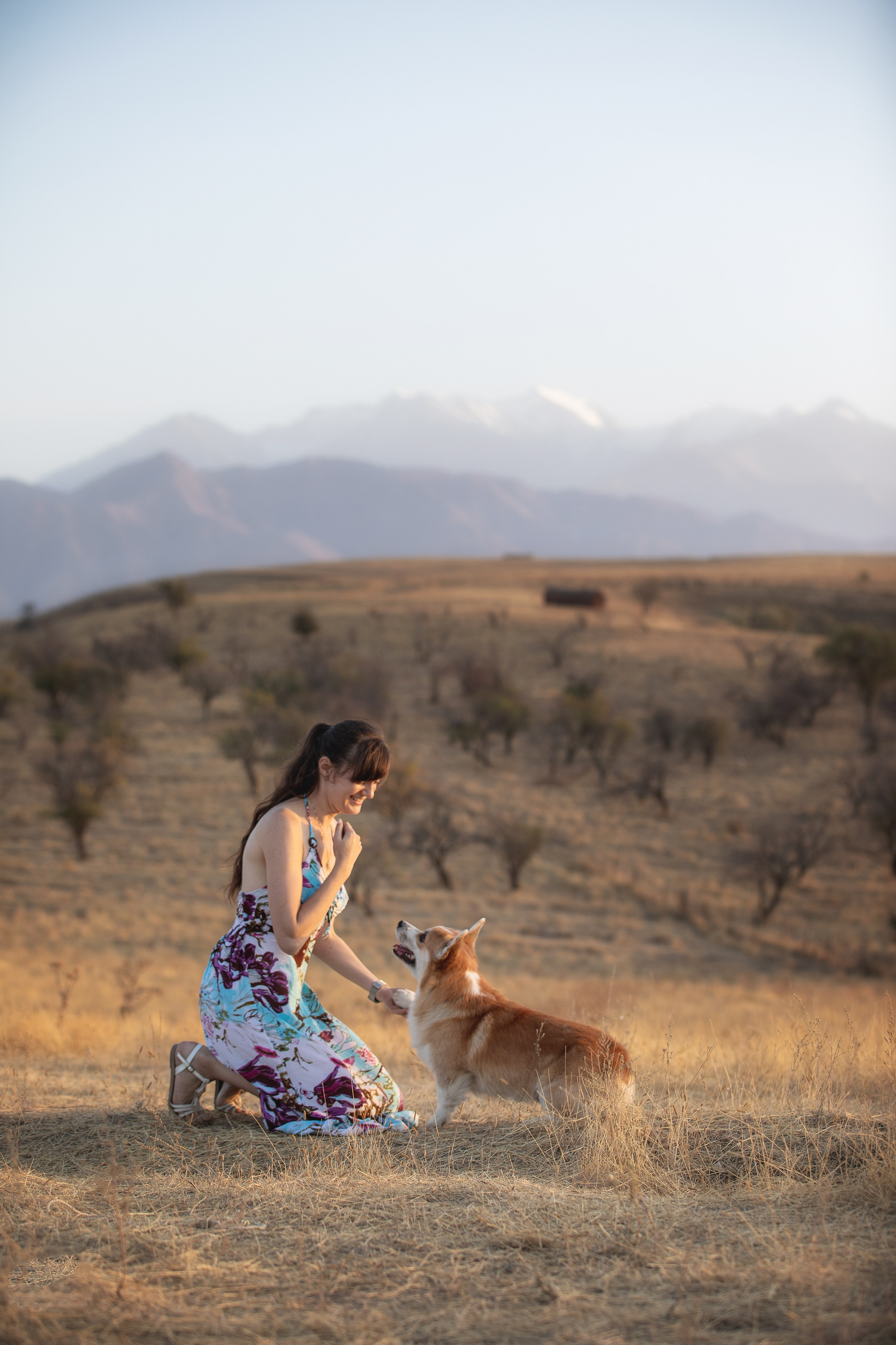 Собаки и не только. Фотограф Алена Звездина