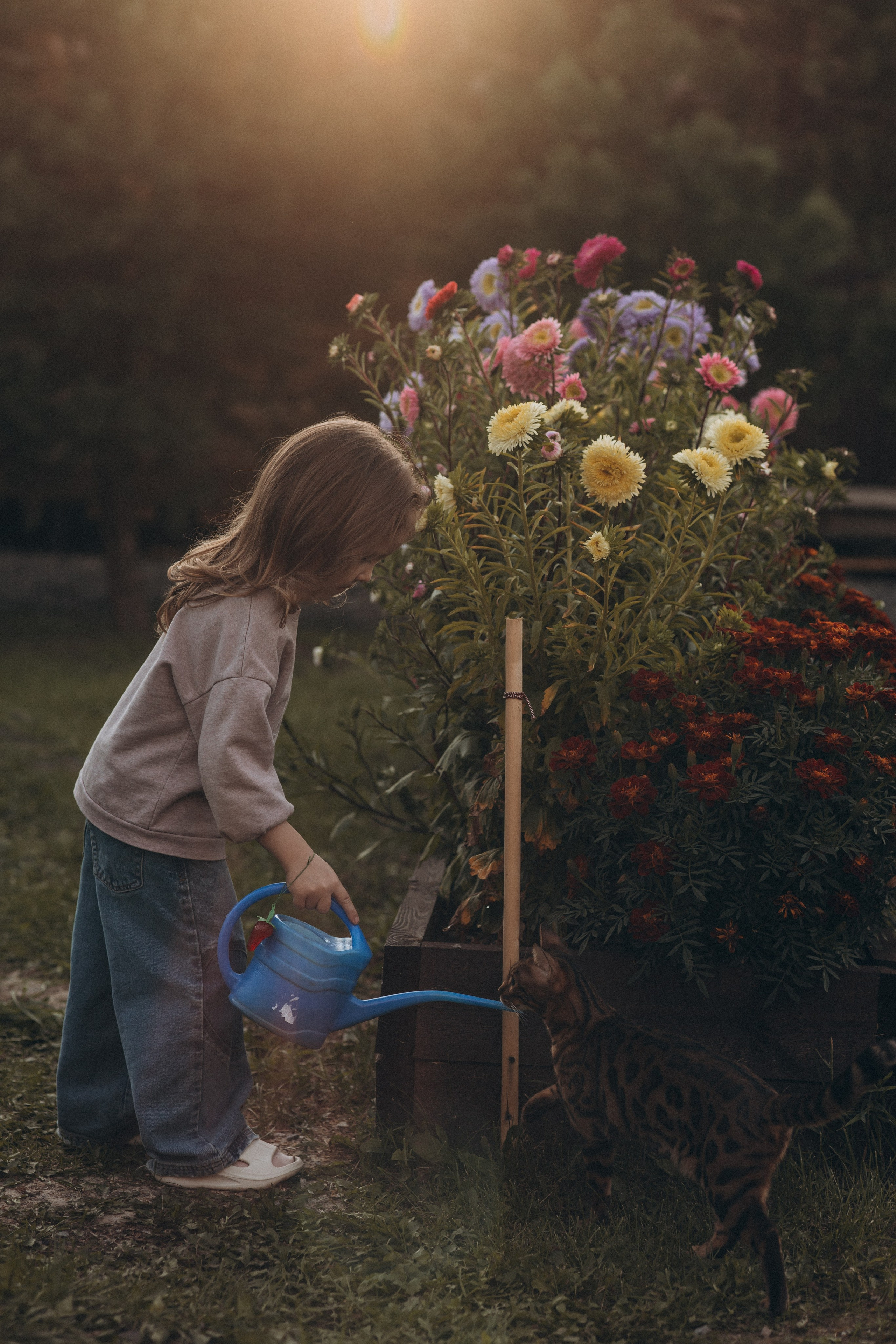 Семья Северовых. Семейный фотограф Нижневартовск Тюмень Ефимова Ирина