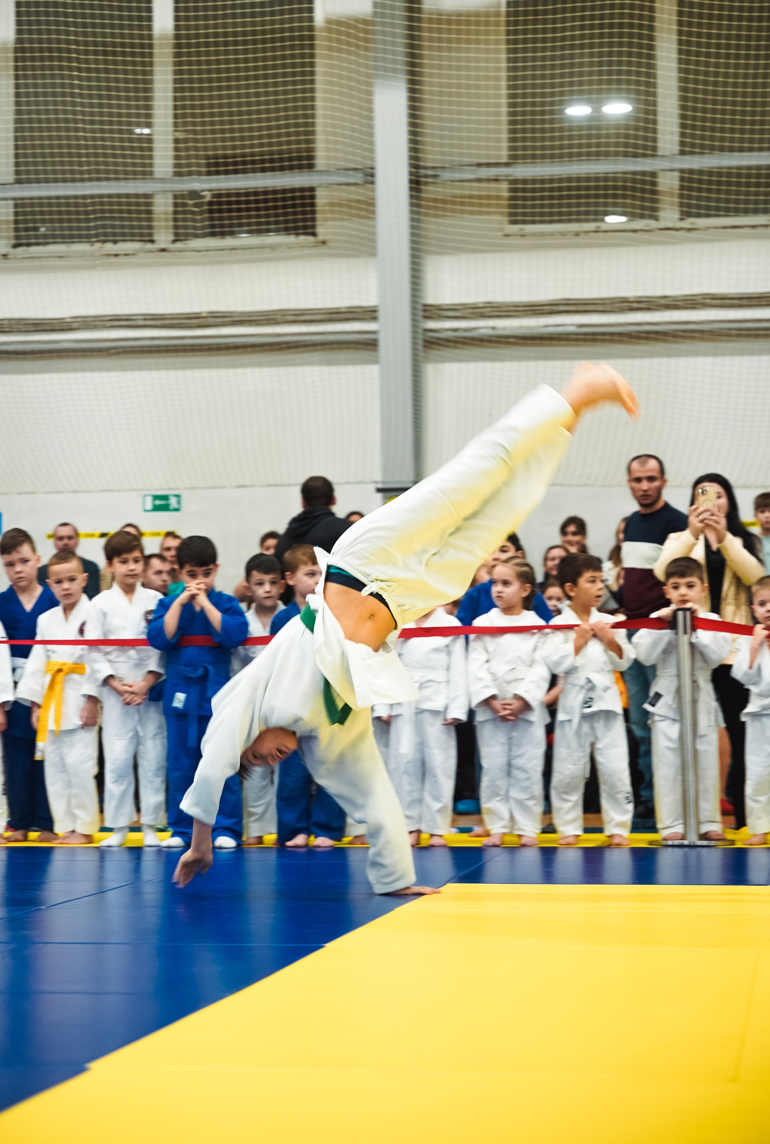 Самбо. Портретный и репортажный фотограф