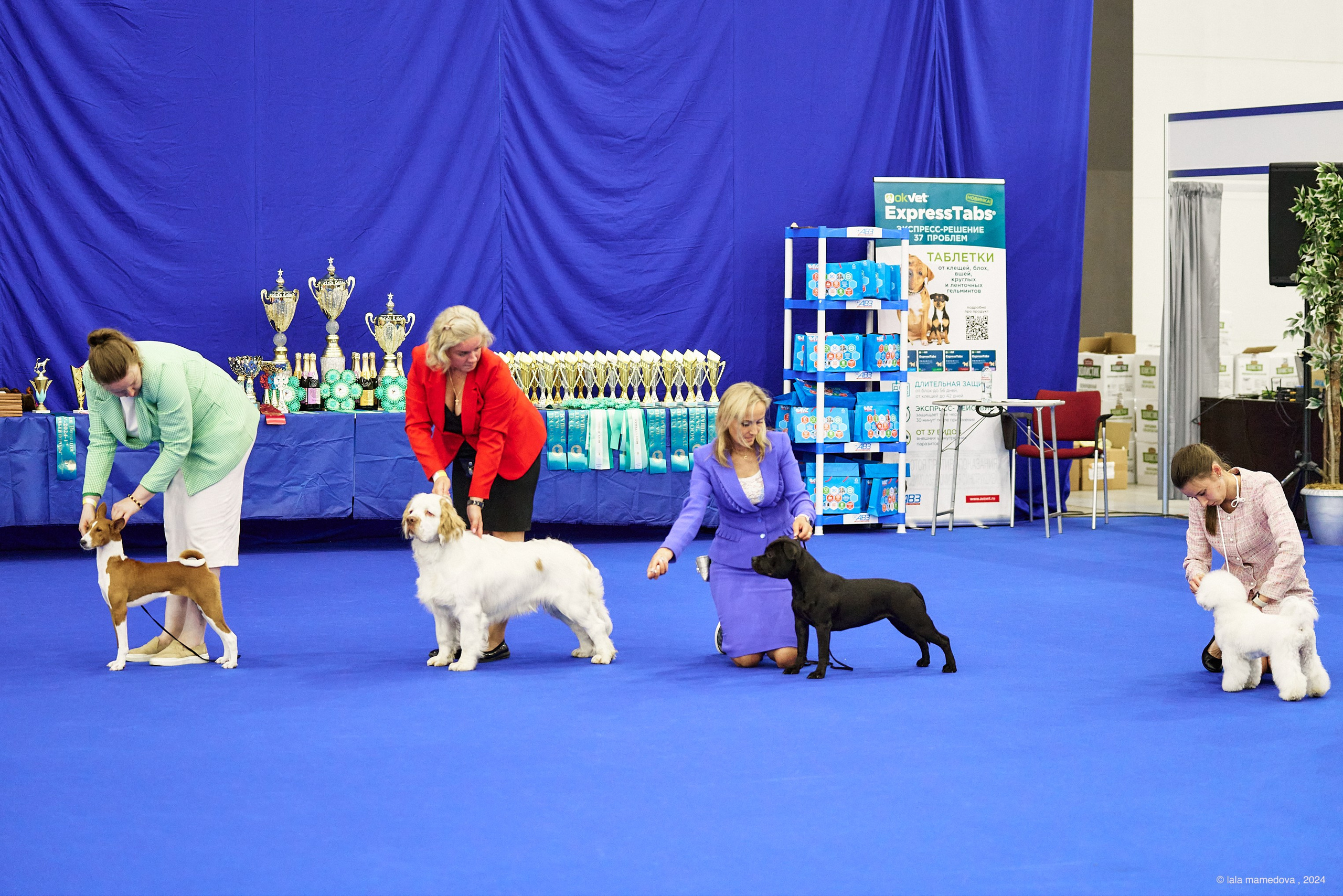 20.07.2024 | «БАЛТИК-ШОУ-1-2024»