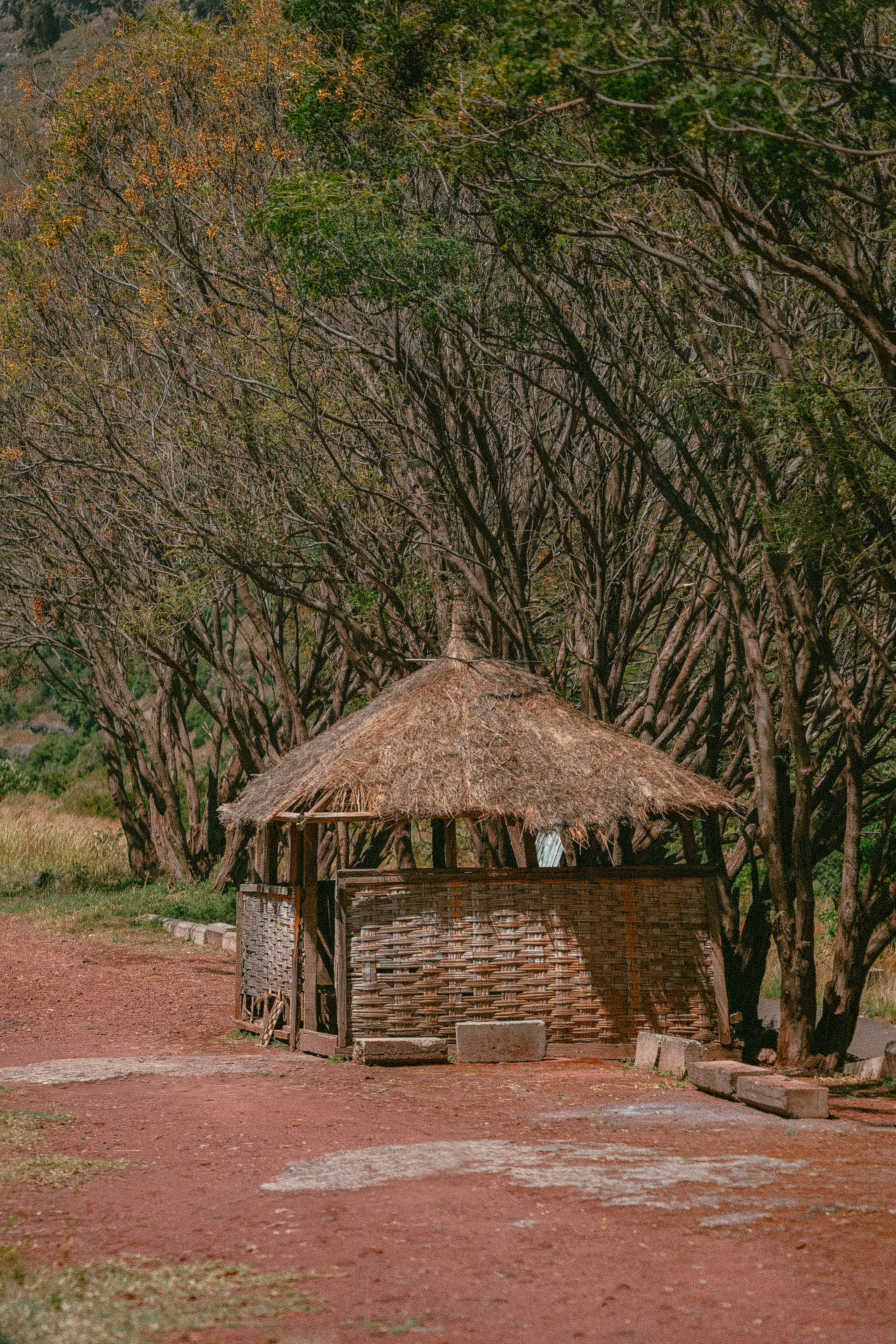 Плато жизни: Эфиопское нагорье. Юля Дэй • Фотограф, Санкт-Петербург