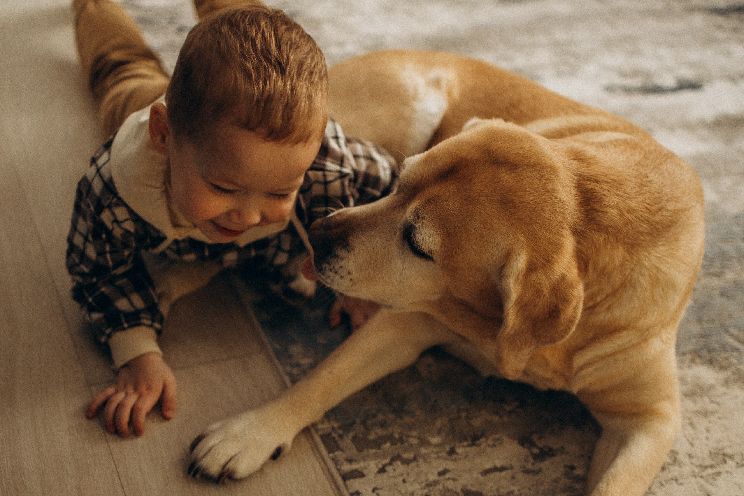 Мохнатое счастье
