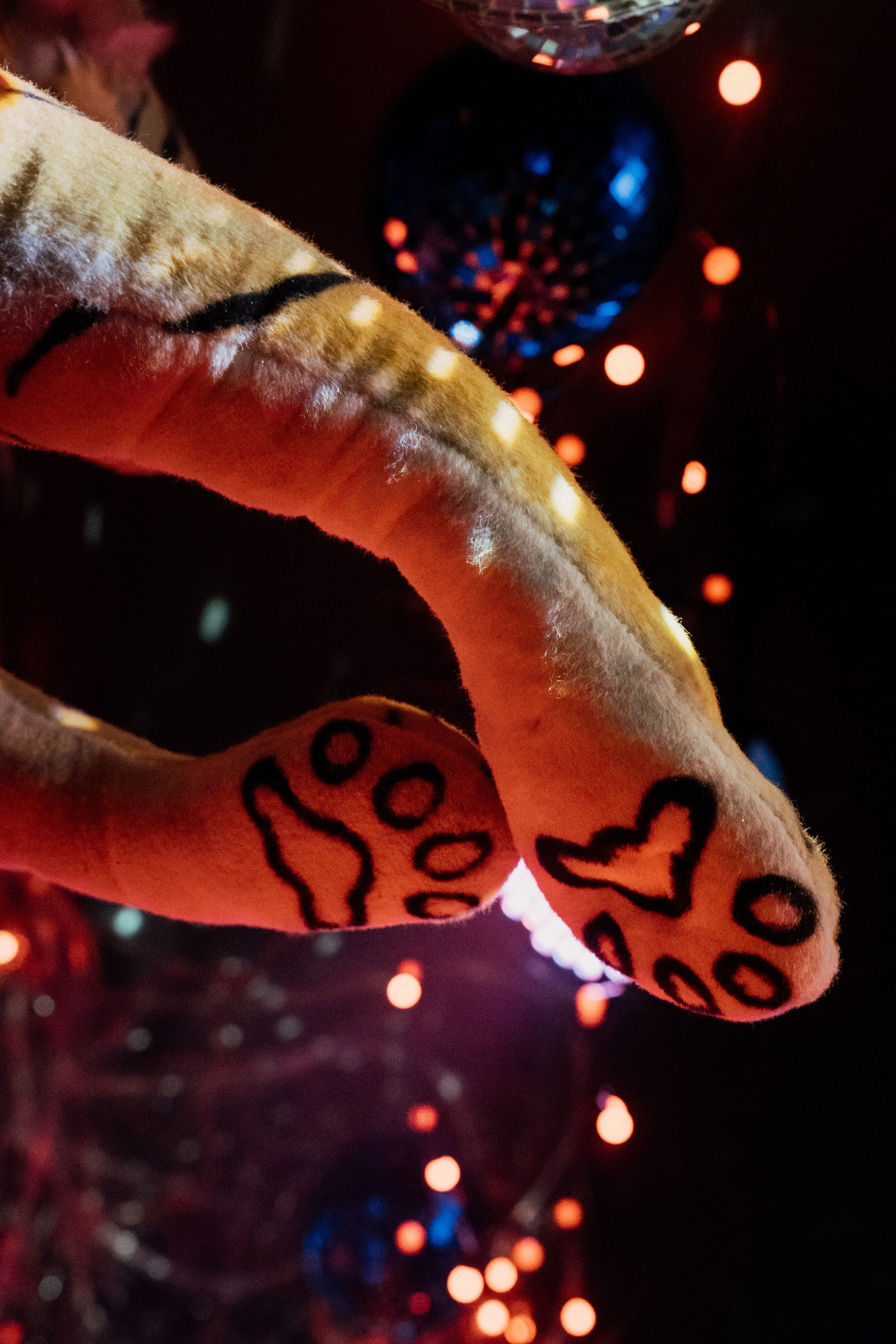 OVERLOCK | French DIsco. Фотограф в Воронеже Ольга Космодемьянская