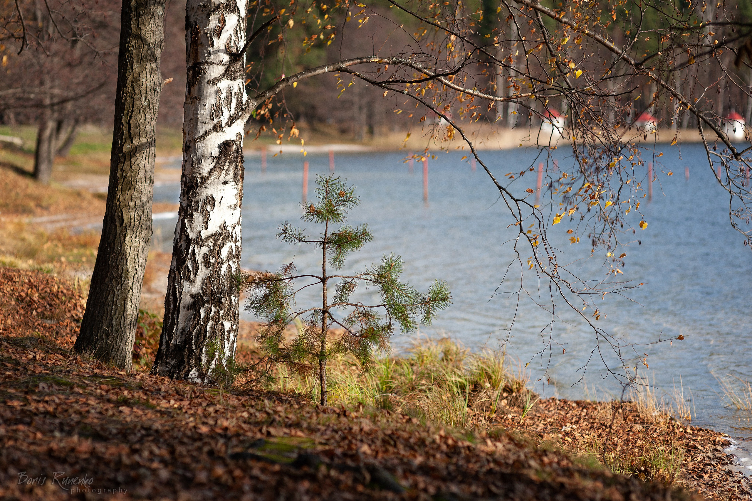 Озеро Белое. Московская область. Борис Руненко. Пейзажный и travel-фотограф
