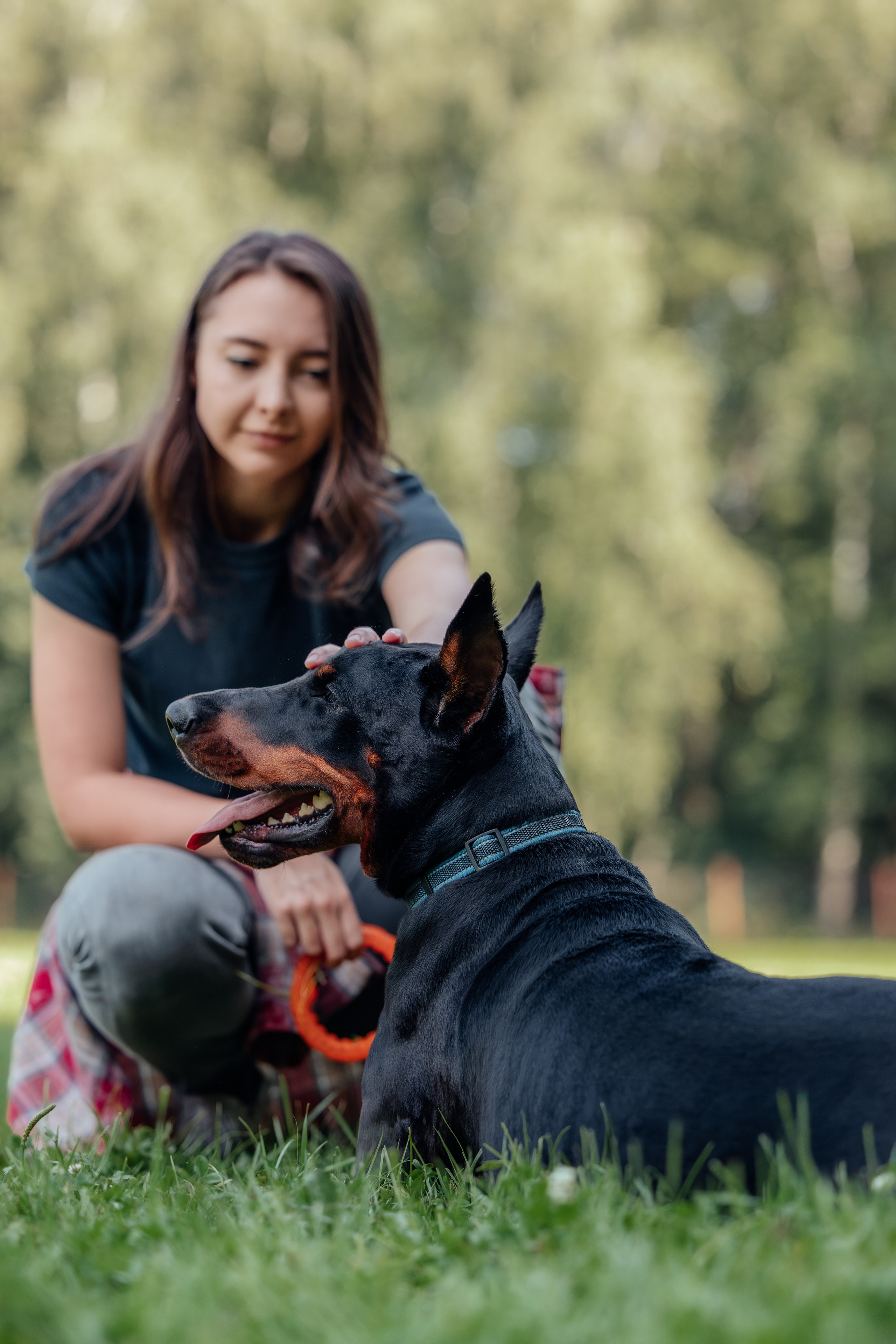 Доберман Айза. Фотограф Анималист в Москве Анастасия Жучкова