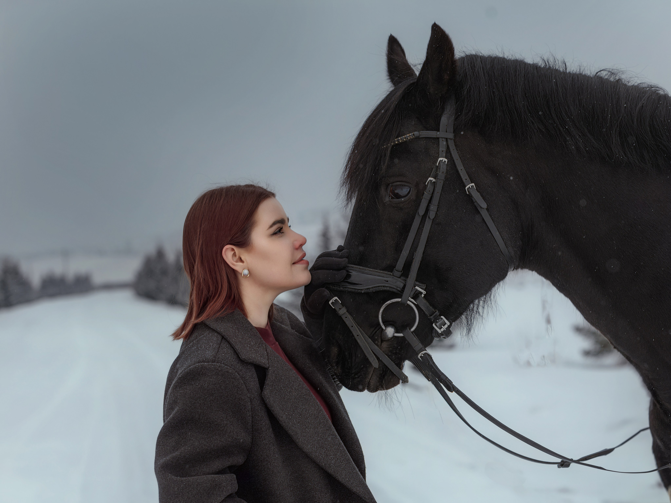 Лошади Емельяново. Конный фотограф в Красноярске — Любовь Похабова