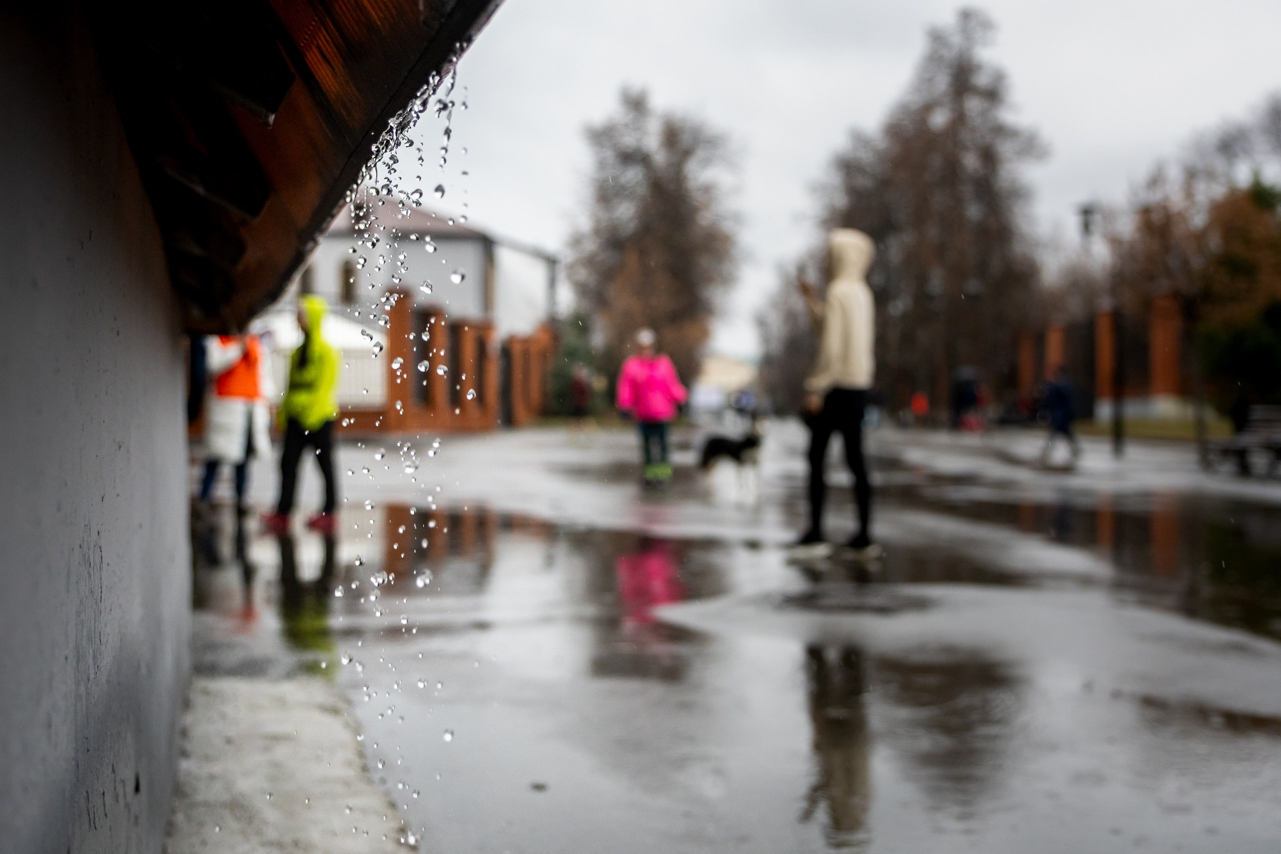 Беговой клуб 5 вёрст. 15 ноября 2025. Главная