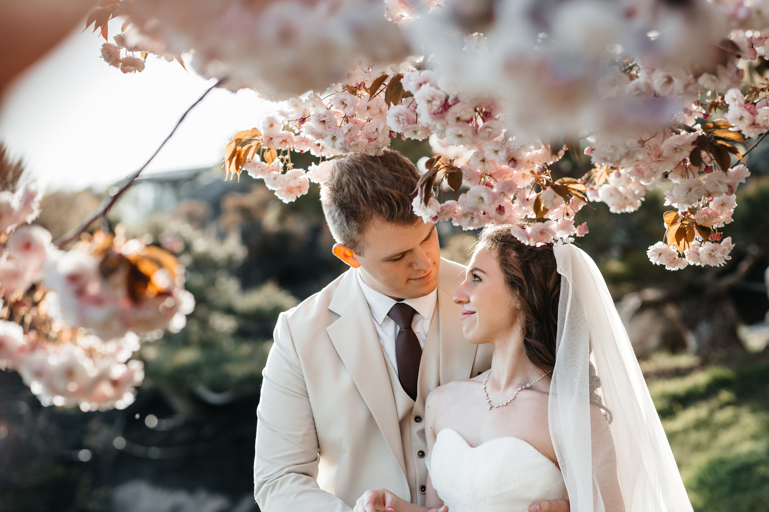 Сакура в Японском саду. Анонс свадьбы для Никиты и Марины. Свадебный фотограф в Крыму и Севастополе Ольга Баскакова