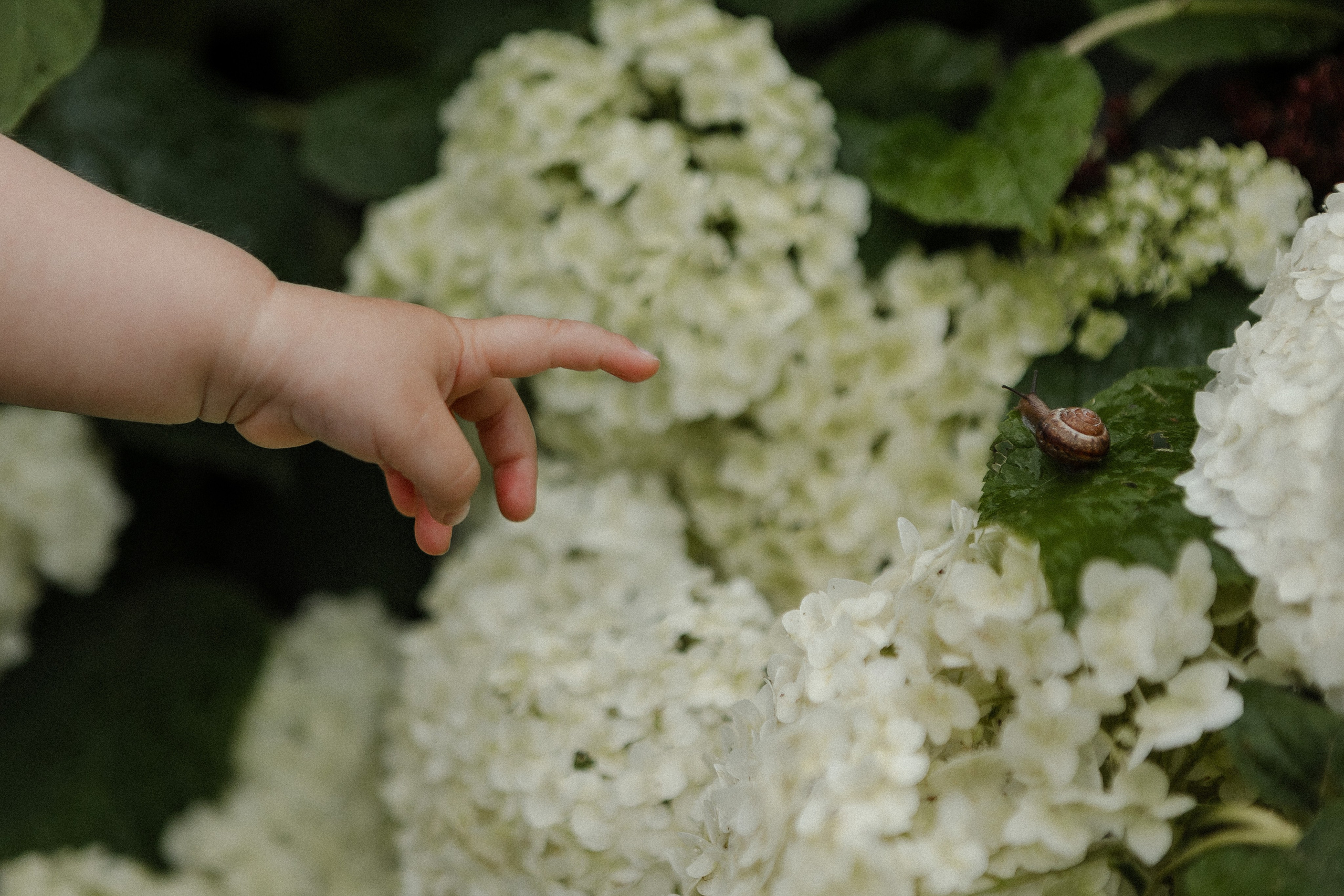 Семейная история. Семейный фотограф в Нижнем Новгороде Доронина Юлия