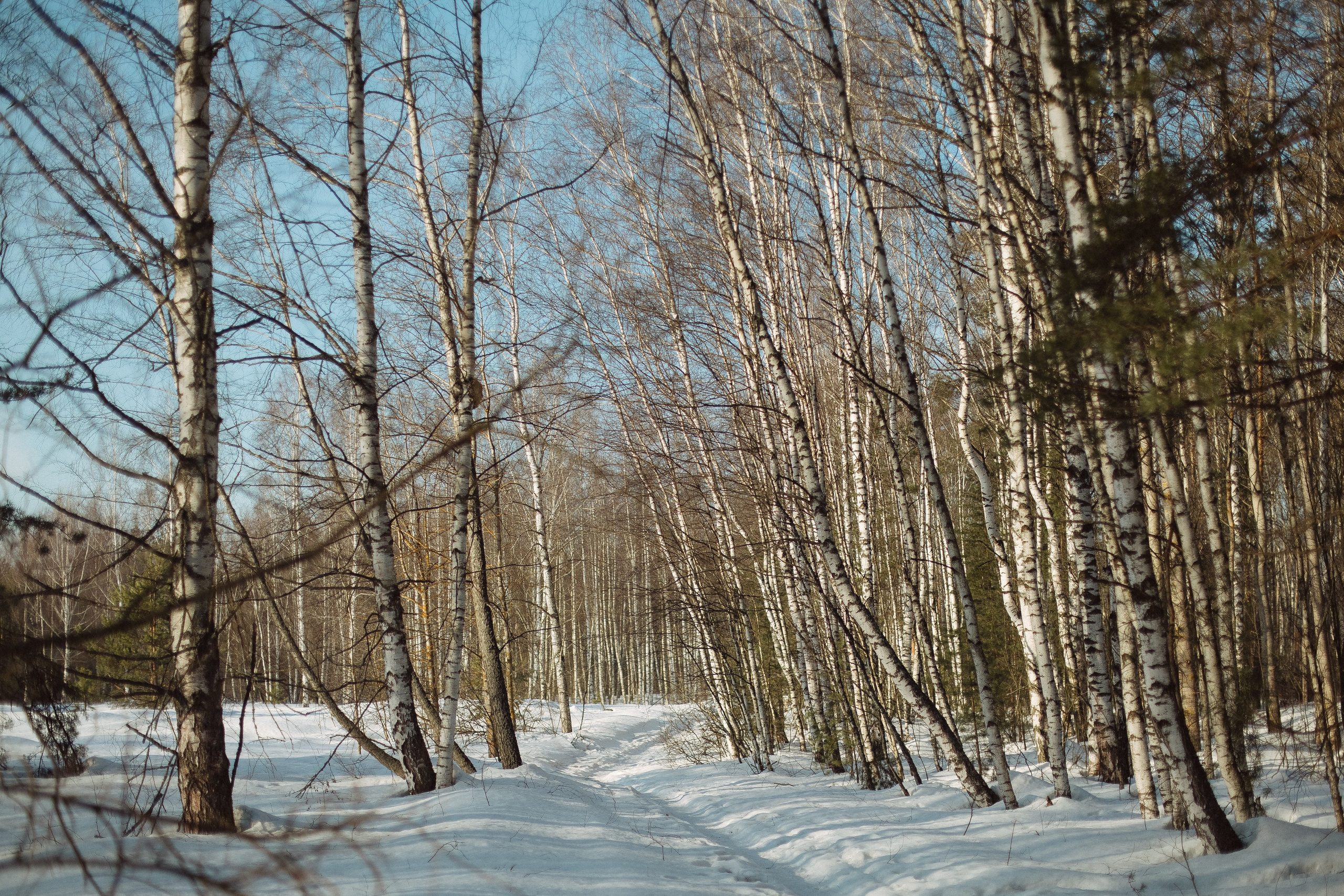 Экопарк ПОЛЯНЫ. Главная