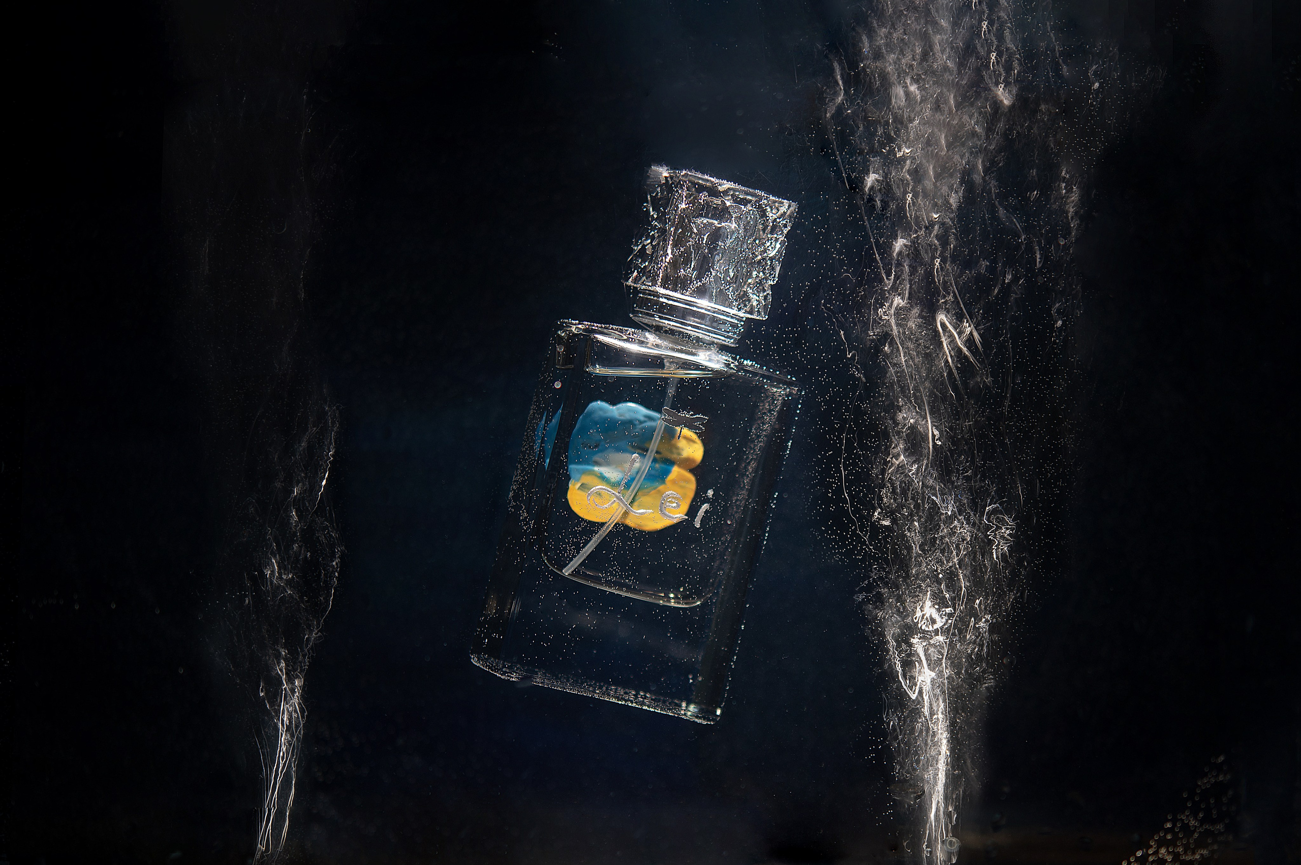 Предметы. Ваш семейный фотограф