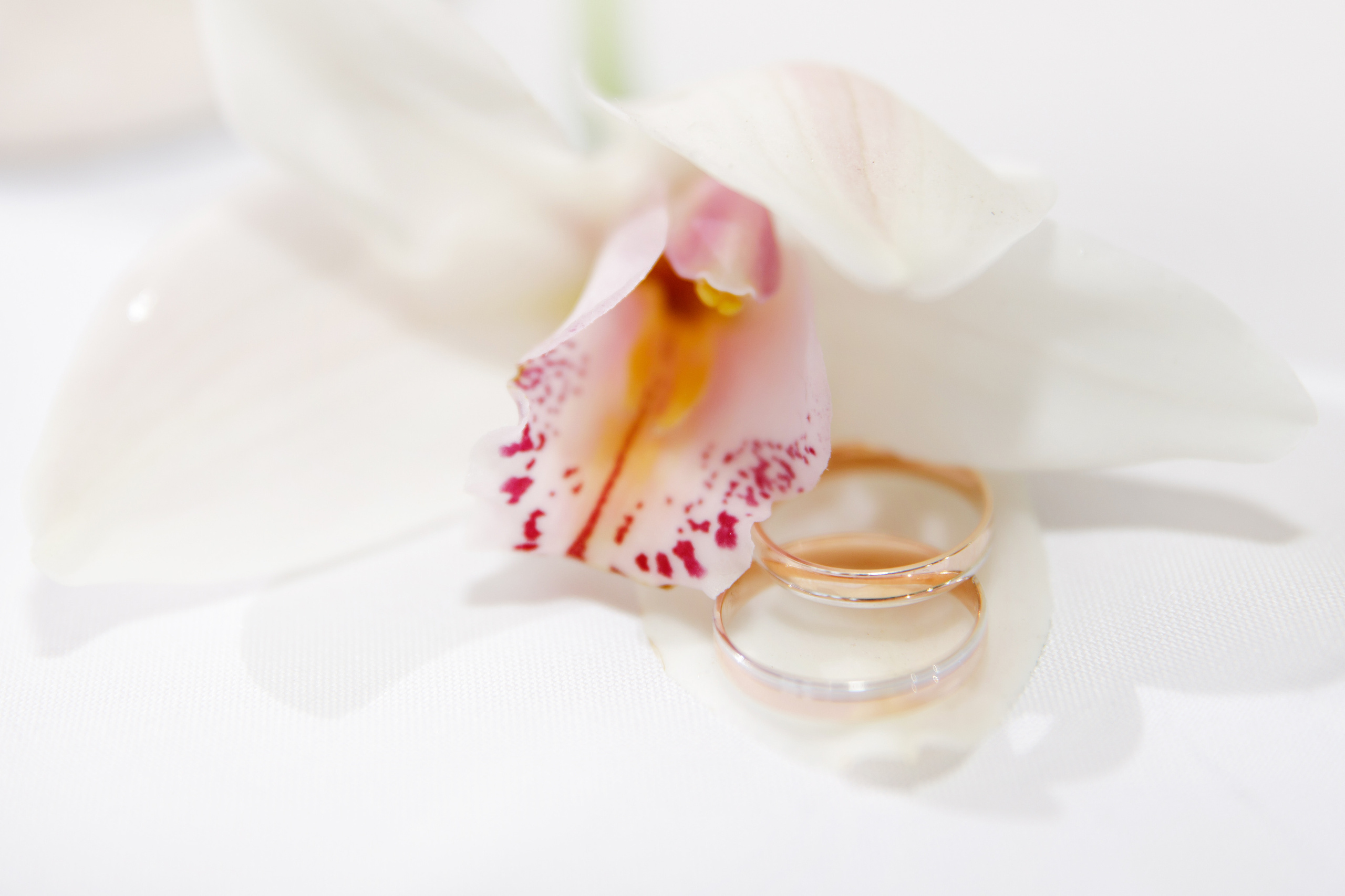 Артур и Русалина. Светлана Иванова - профессиональный фотограф