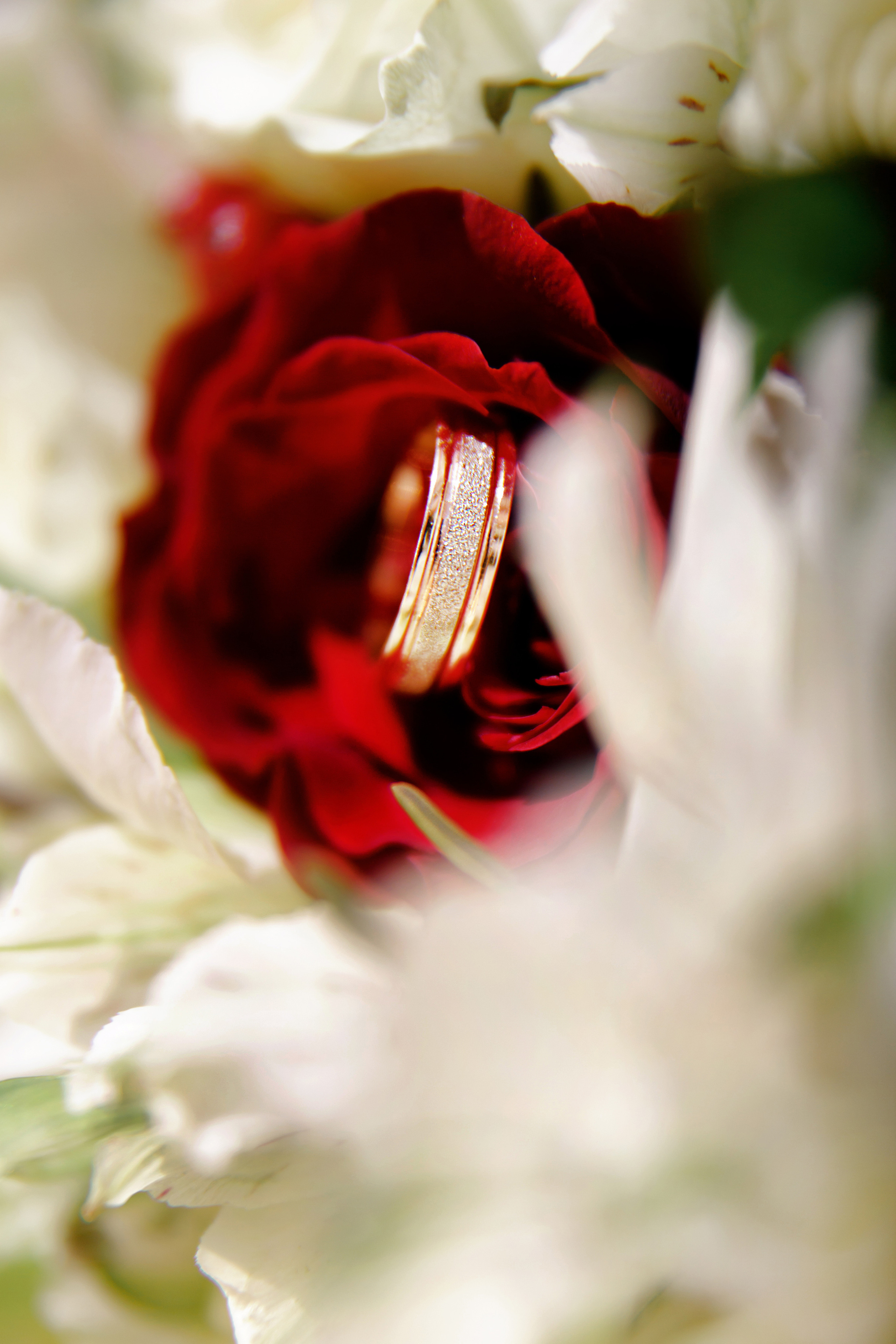 Мария и Михаил. Светлана Иванова - профессиональный фотограф