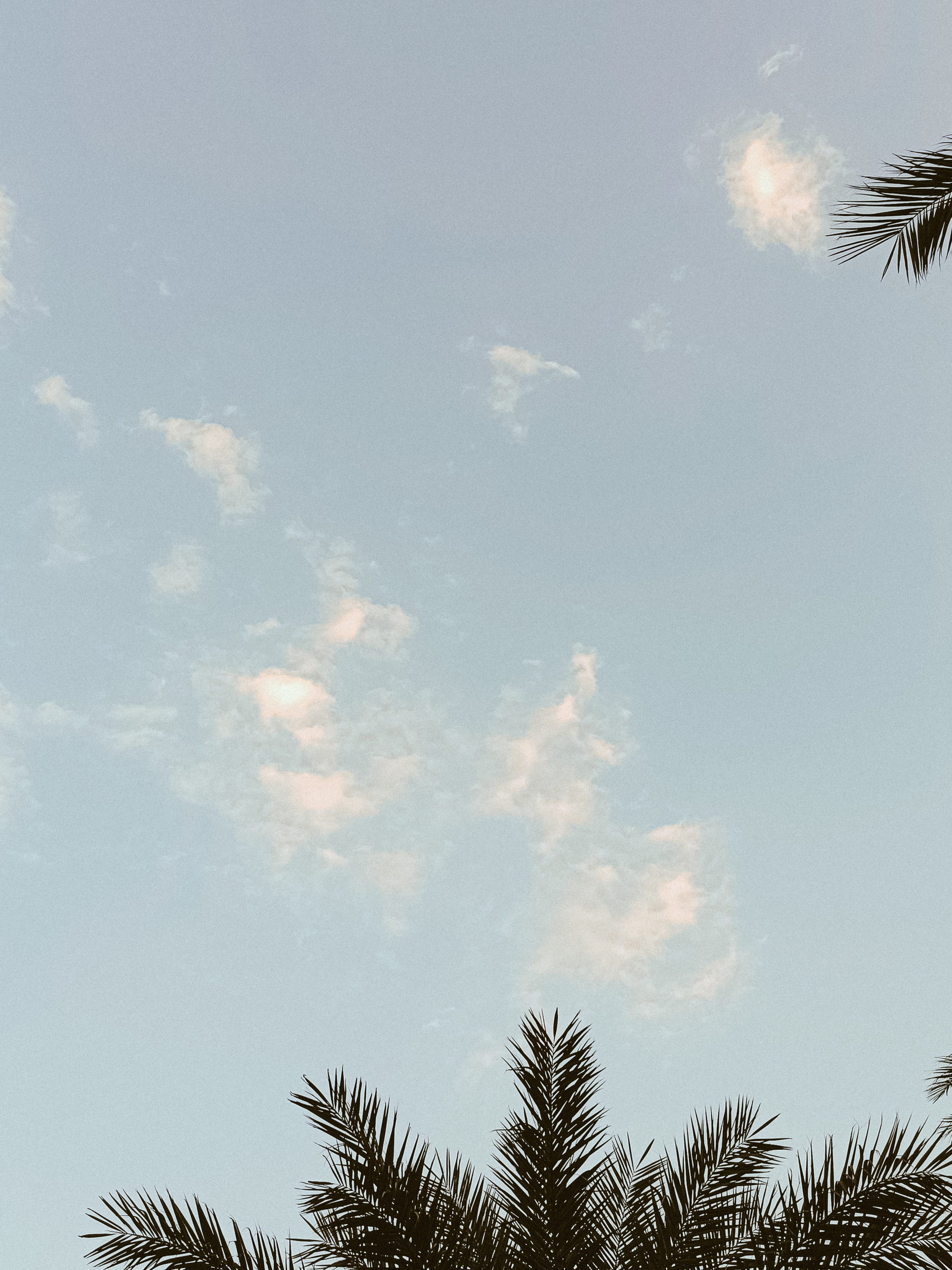 Мобильная. Jorgis — фотограф в Хургаде / обучение фотографии