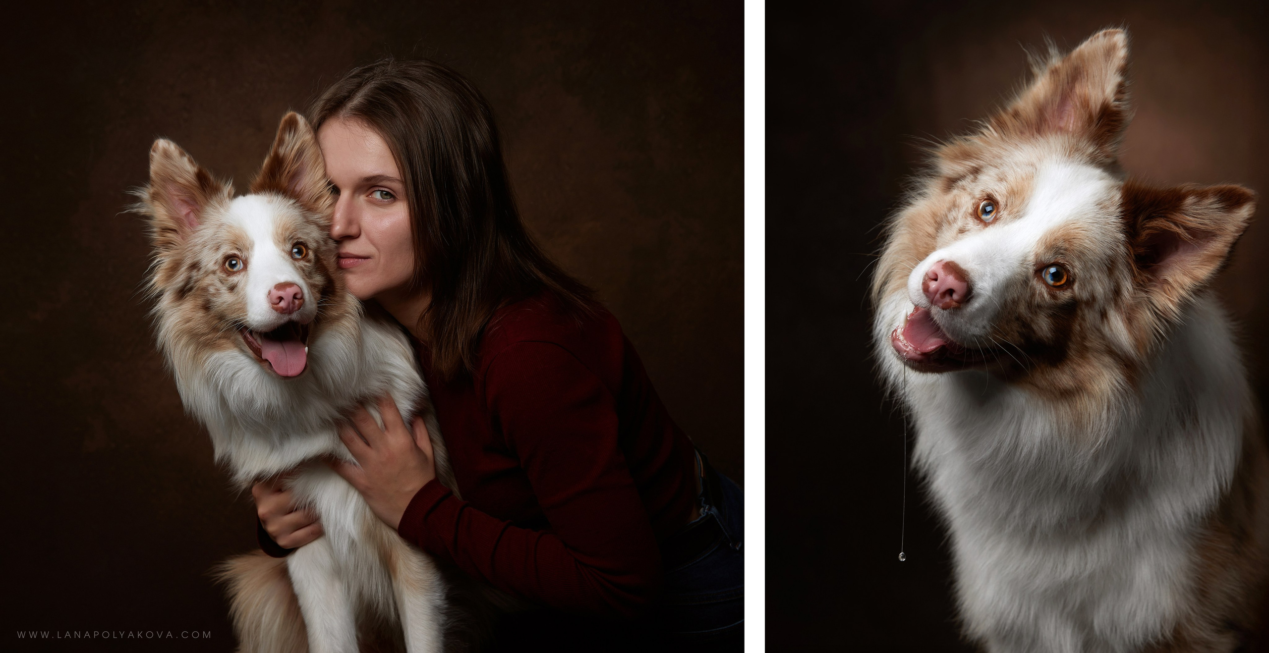 Оскар передает привет 👋. ФОТОГРАФ-АНИМАЛИСТ l LANA POLYAKOVA