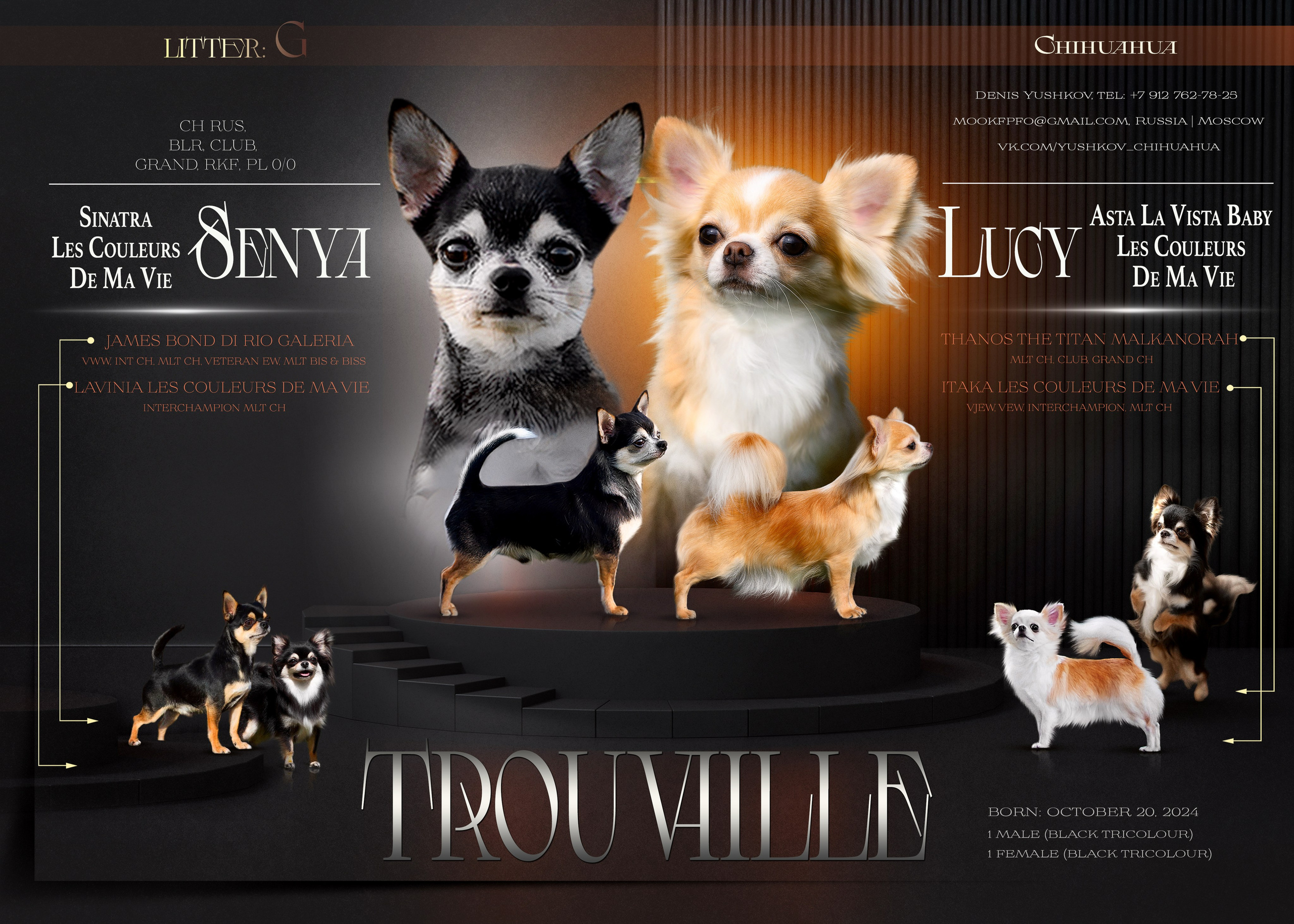 Animal presentation. Фотограф