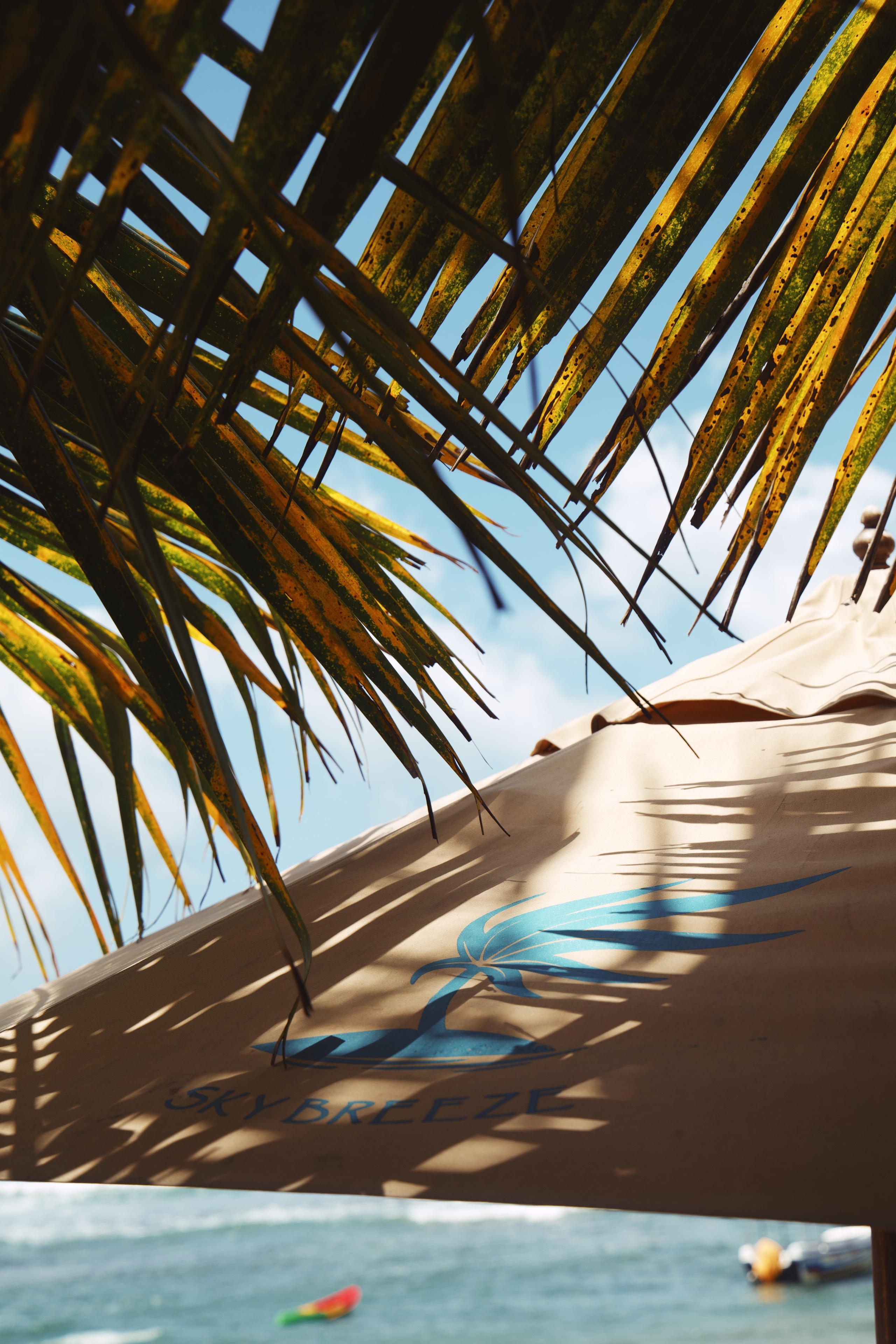 Food & atmosphere. Главная