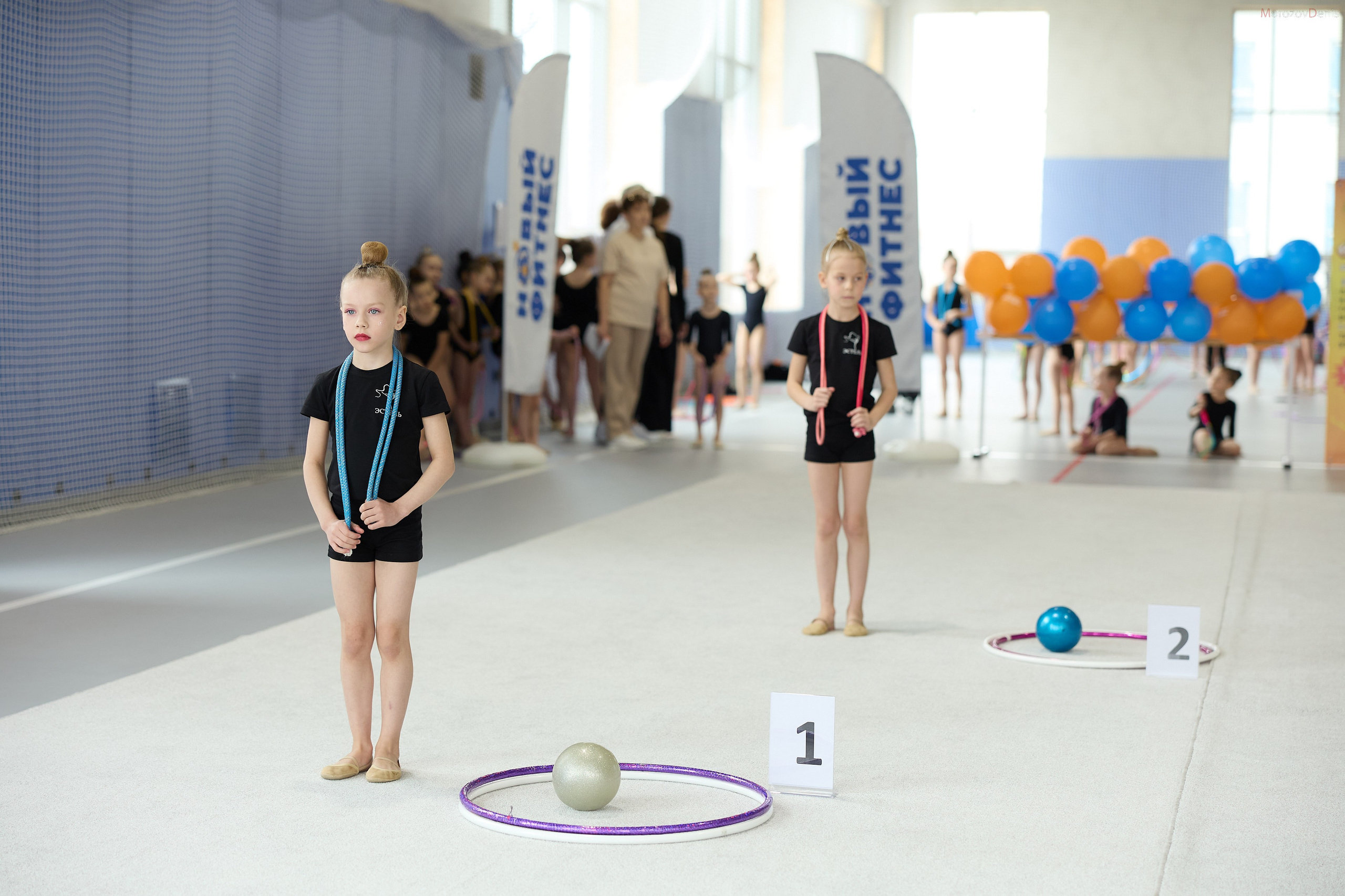 Художественная гимнастика