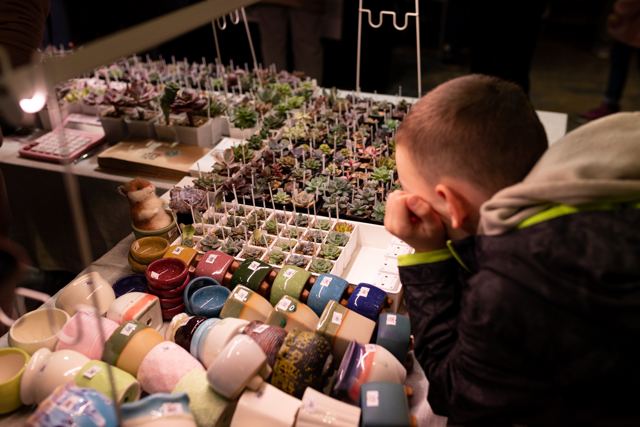 Meza market 2024. Александра Куликова фотограф, Москва