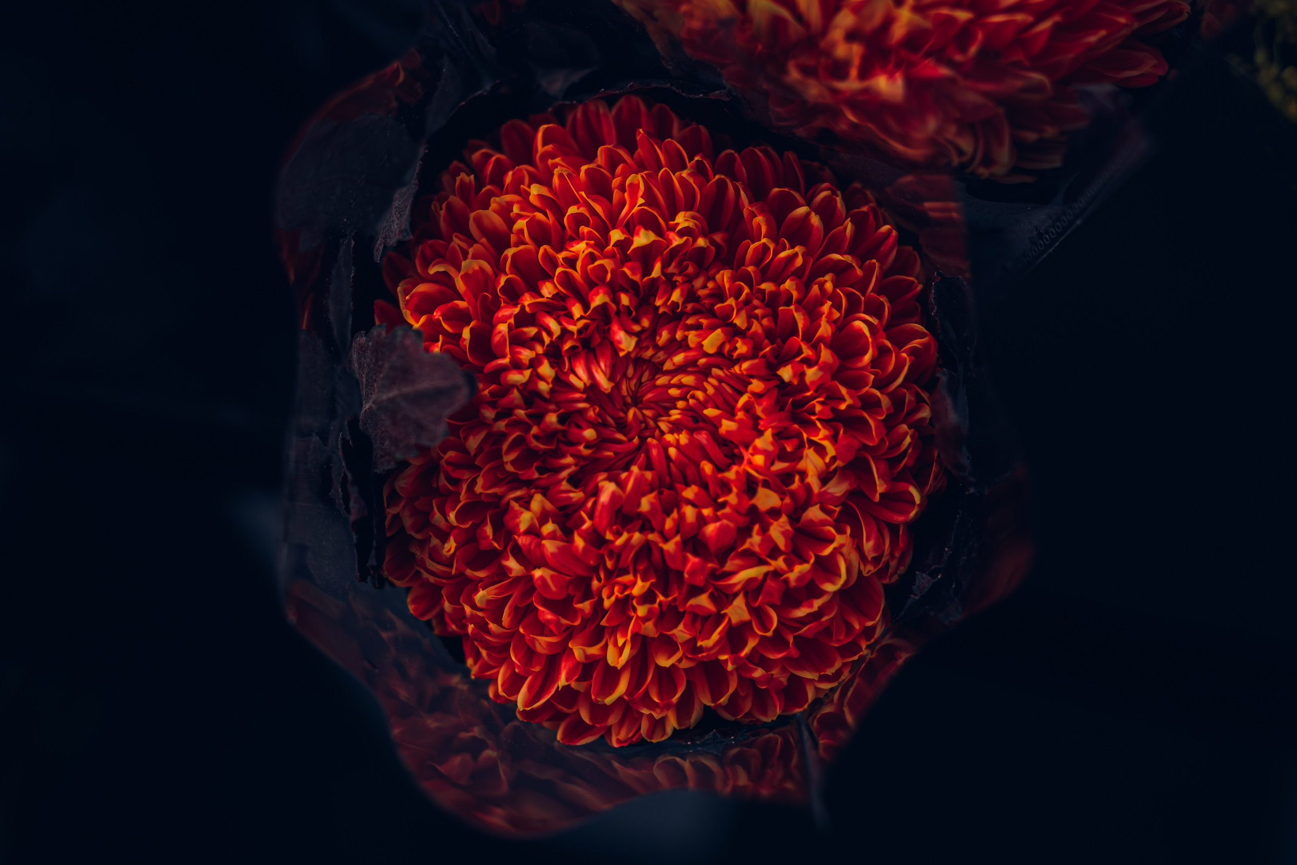 Путешествие рекламного фотографа из Гуанчжоу по Гонконгу 2 | Истории и вдохновение. Коммерческий и предметный фотограф в Гуанчжоу Коваленко Александр