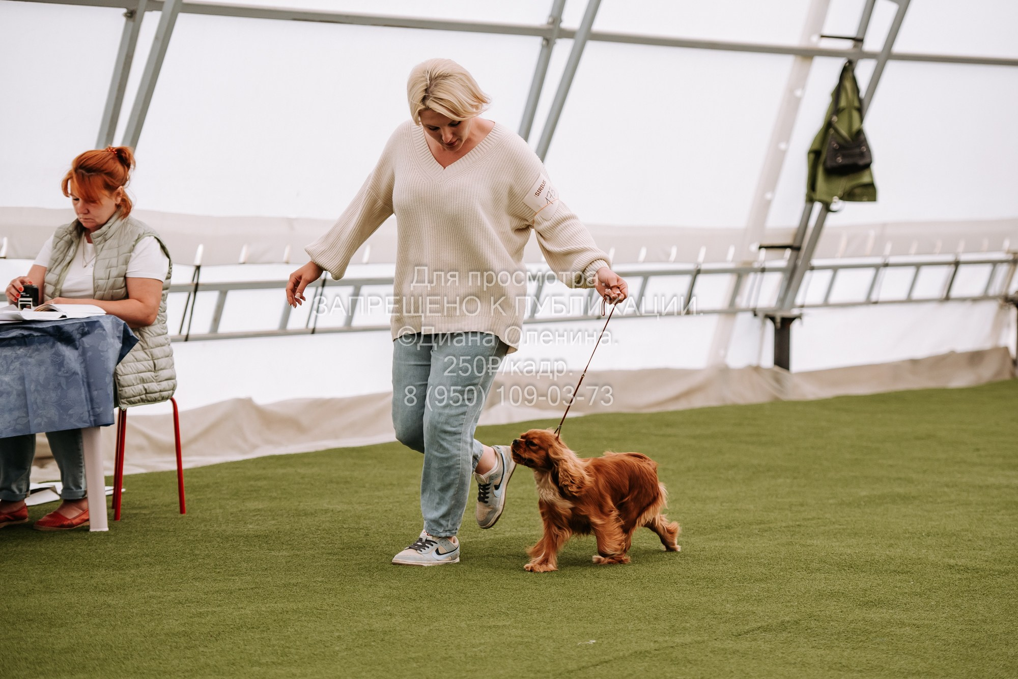 Выставка собак Красноярск 2.06. Фотограф Диана Оленина Красноярск / Братск