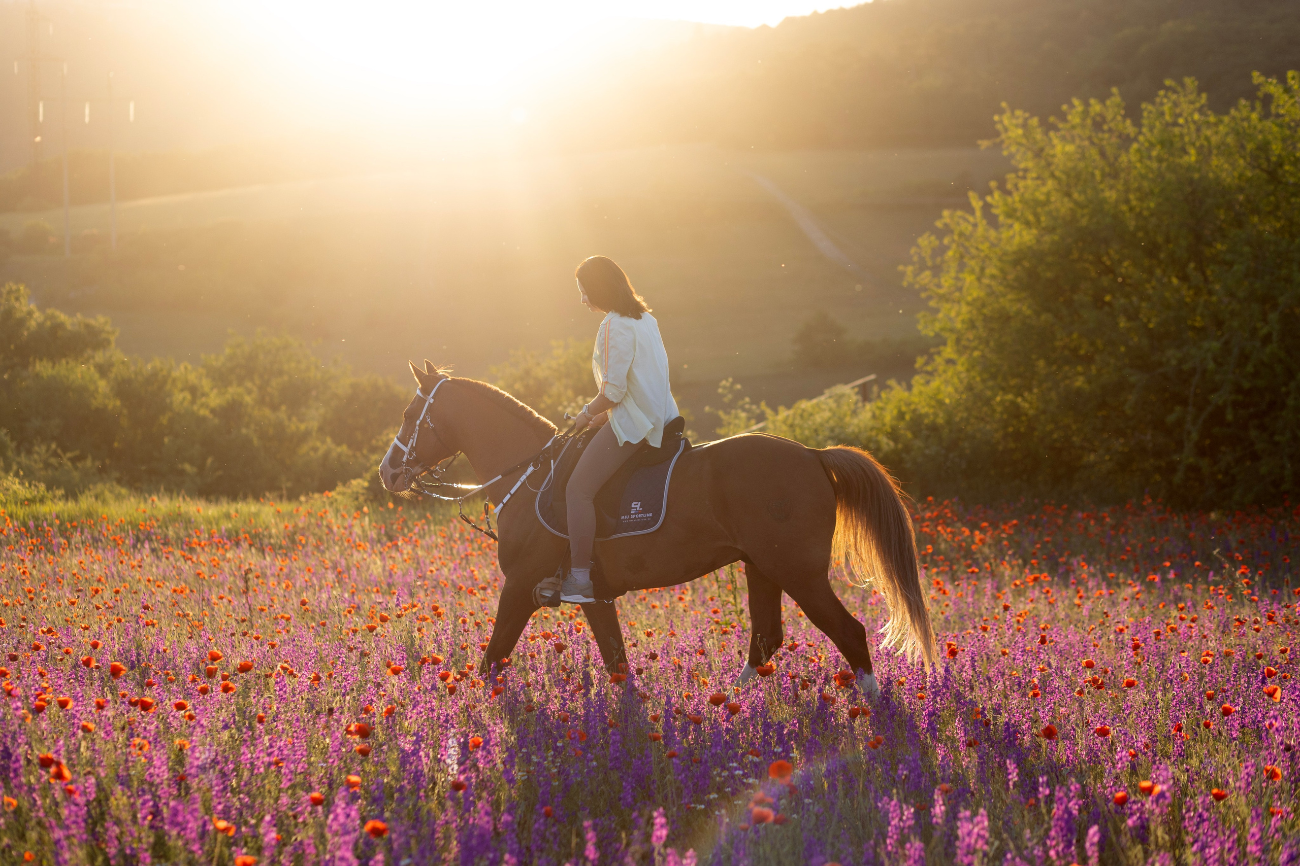 Фотосессии с лошадьми. Ваш фотограф в Крыму | Соболевская Анастасия