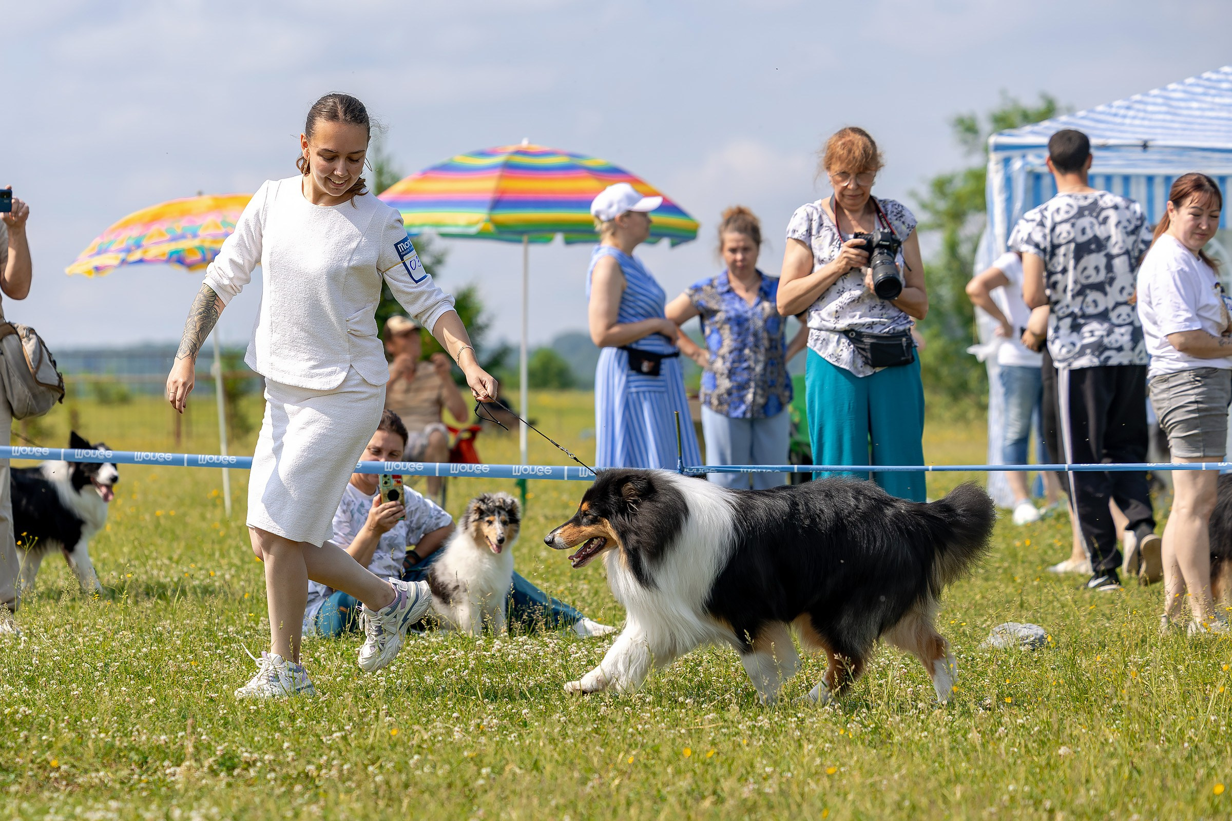 12 июня 2025, Выставка РКФ, Пермский край. Htykk_photo
