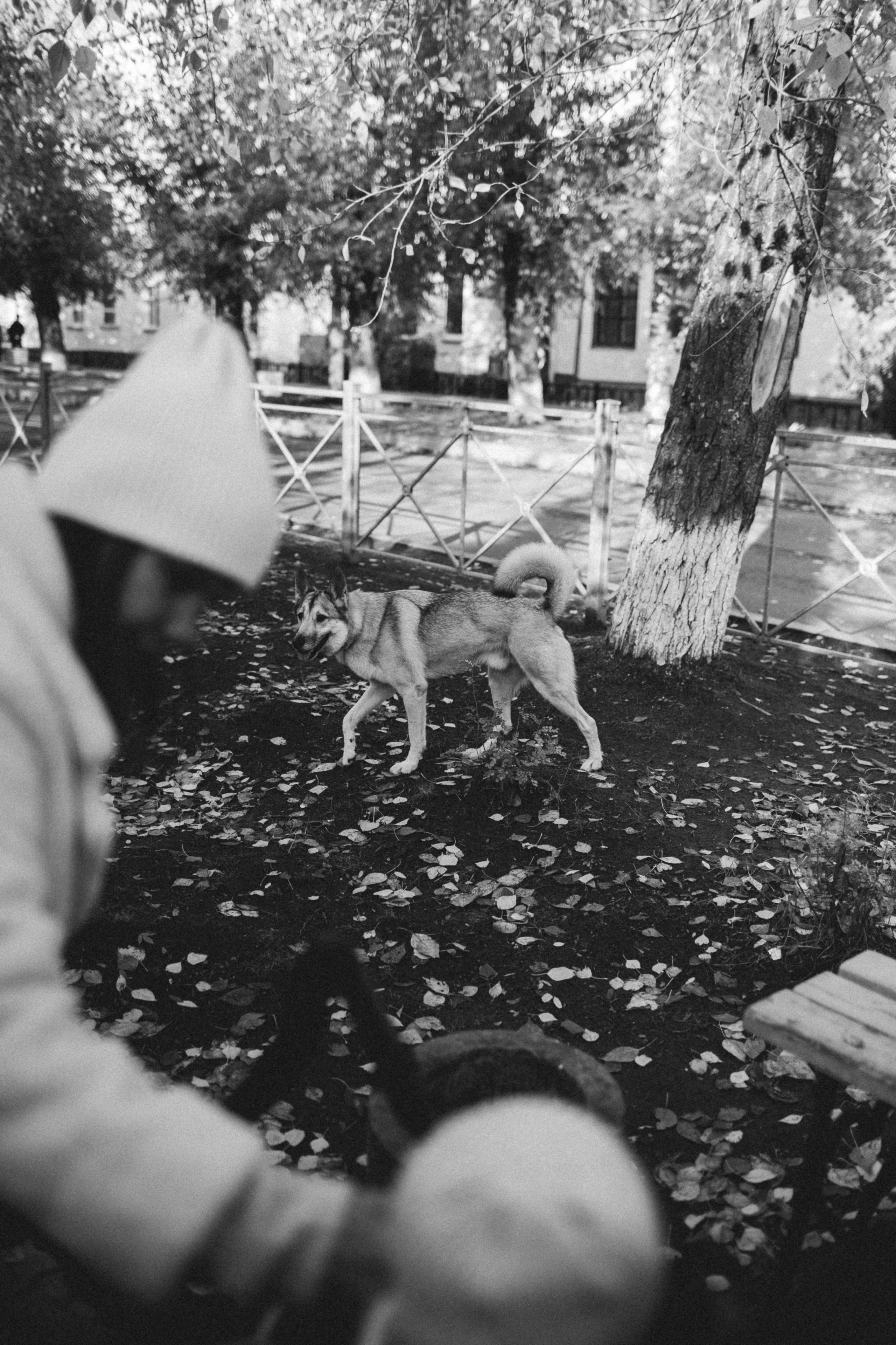 Анна с детками. Новодвинск. Фотограф в Архангельске Татьяна Дмитриева