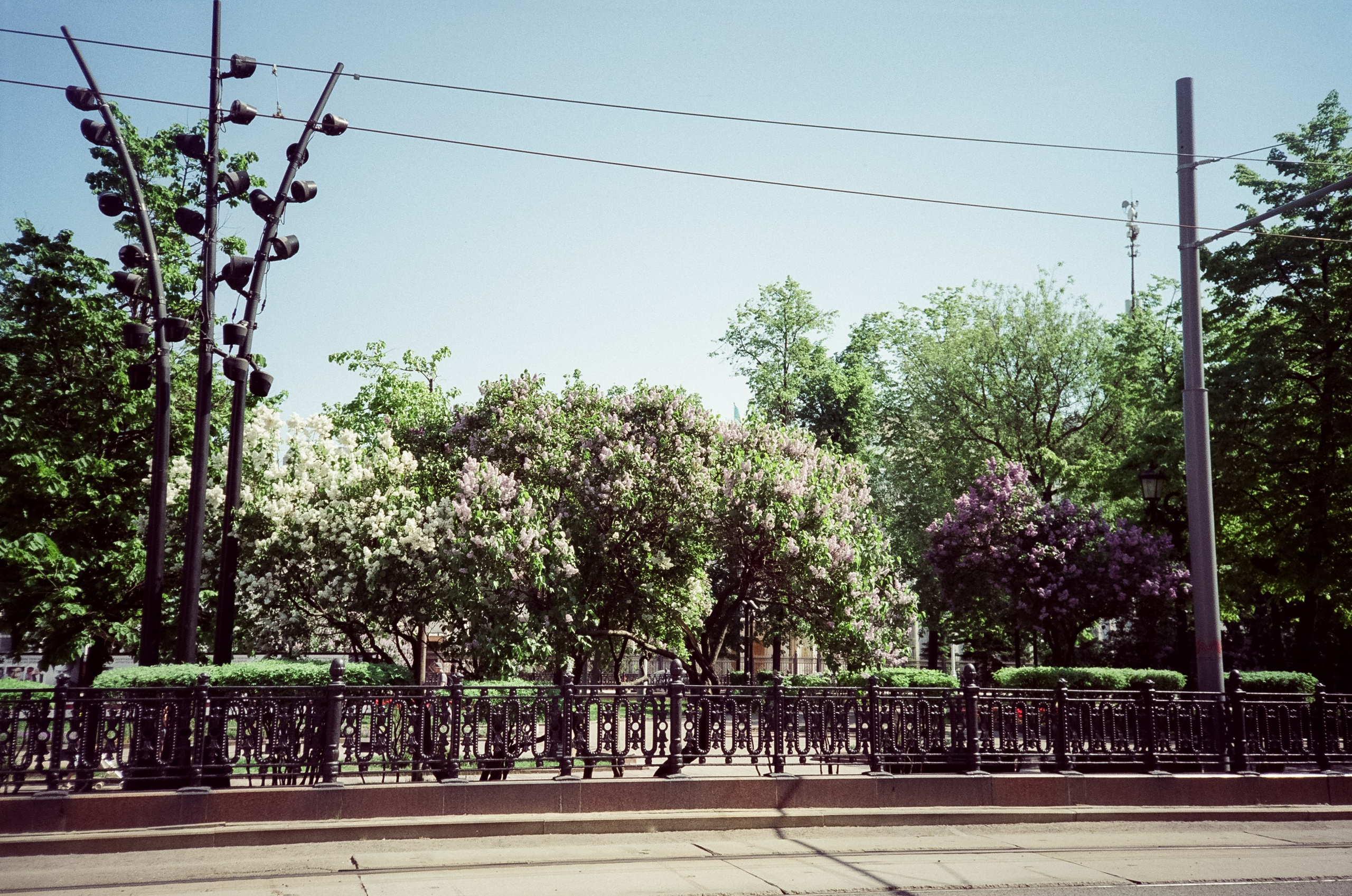 SFL 200T (Kodak Vision3 200T) примеры фотографий