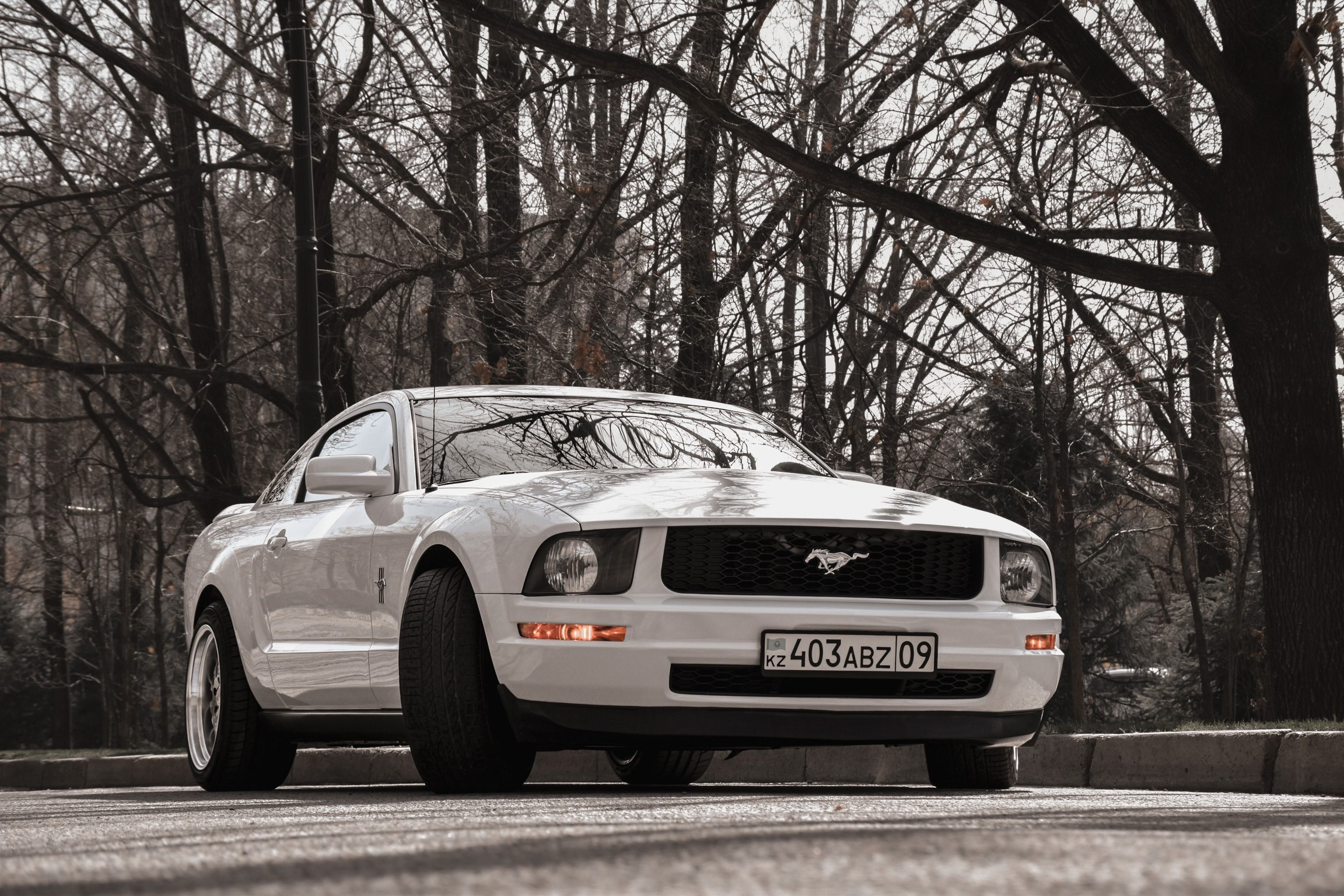 Авто. Фотограф в Алматы