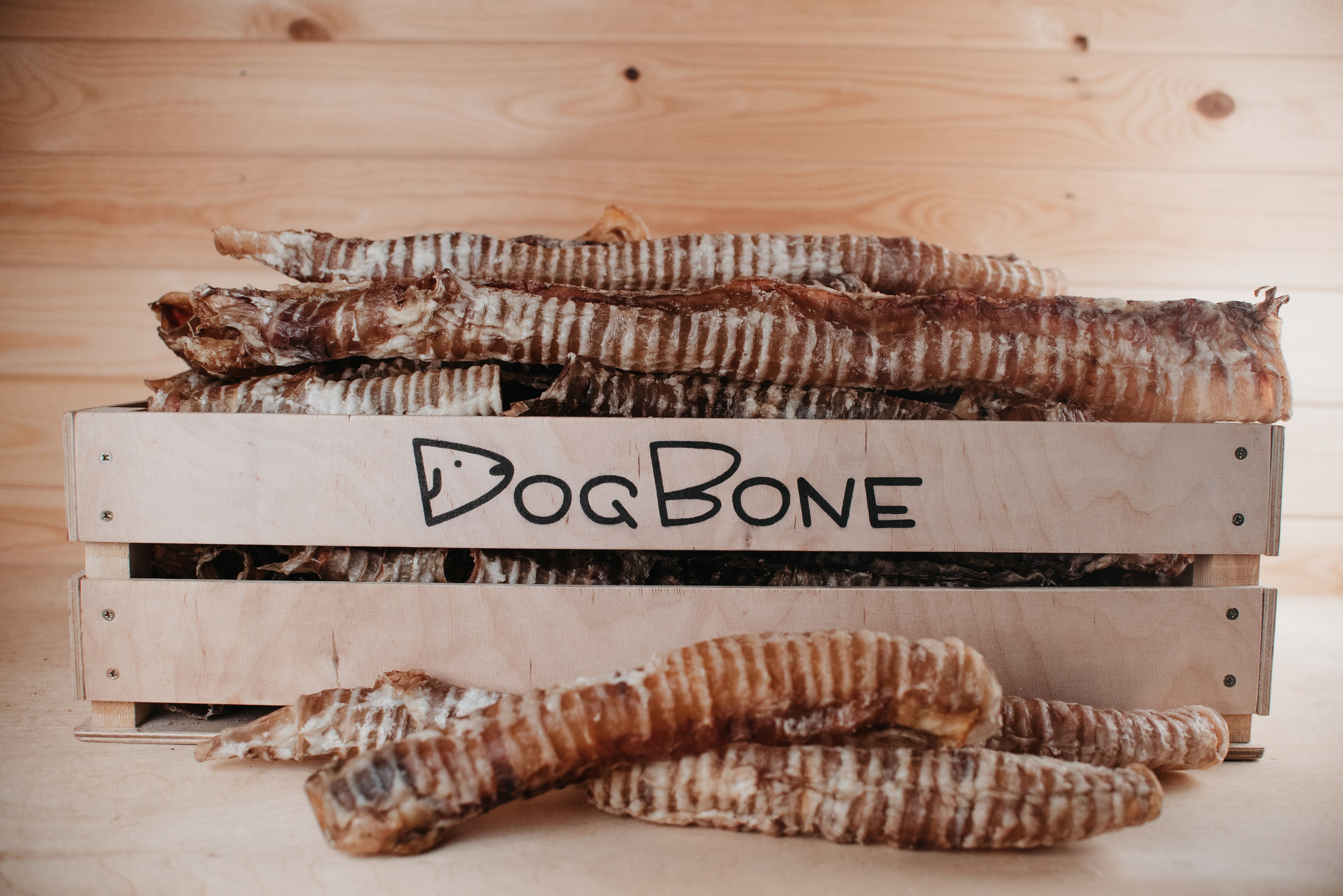 Dog Bone лакомства. Фотограф-анималист Валерия, Москва, Мытищи