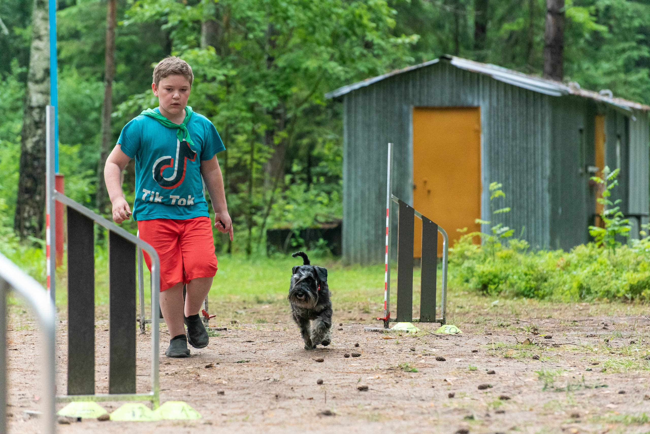 Хвостатые каникулы Детский кинологический лагерь. Фотограф Макс Огурцов в Нижнем Новгороде