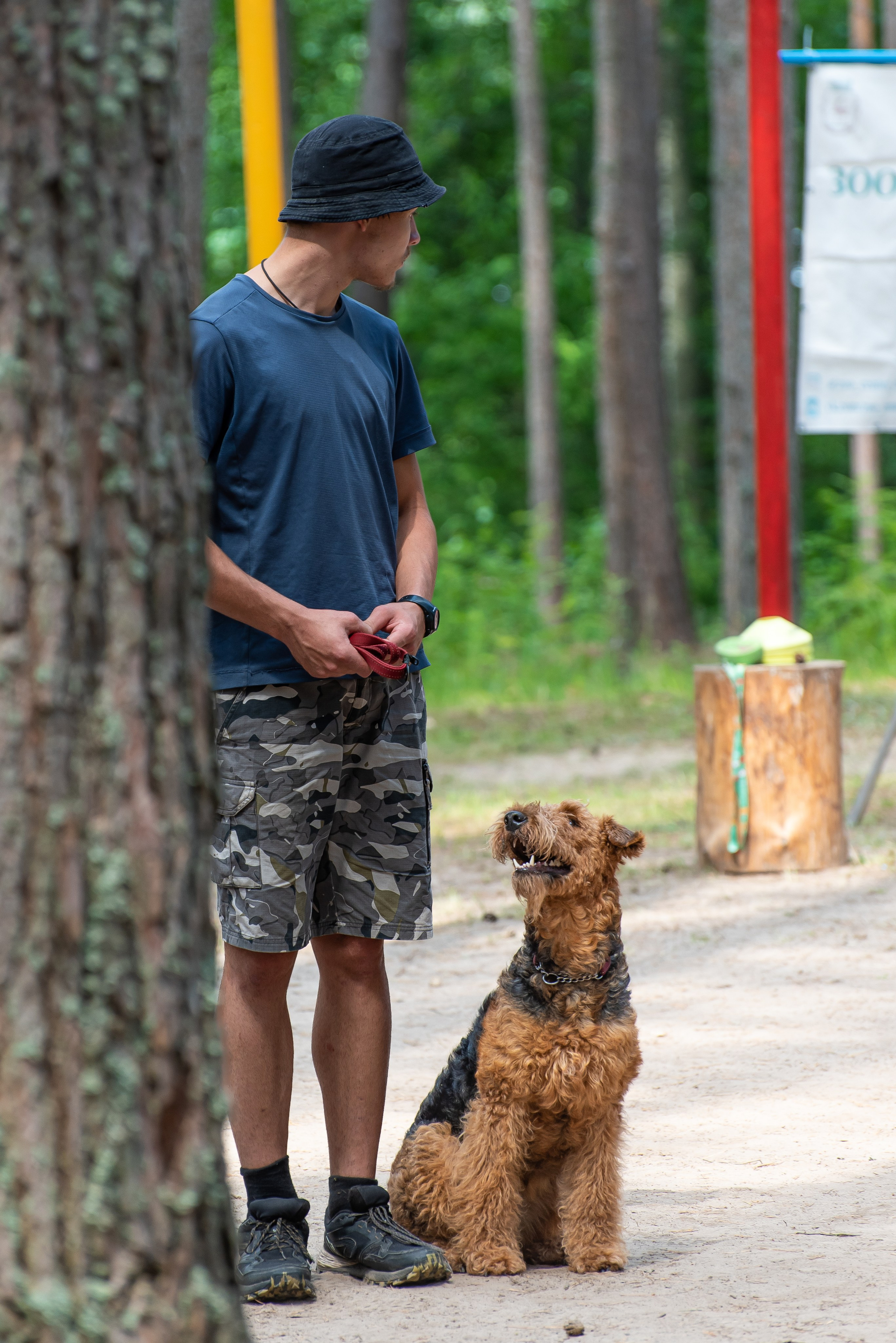 Хвостатые каникулы Детский кинологический лагерь. Фотограф Макс Огурцов в Нижнем Новгороде