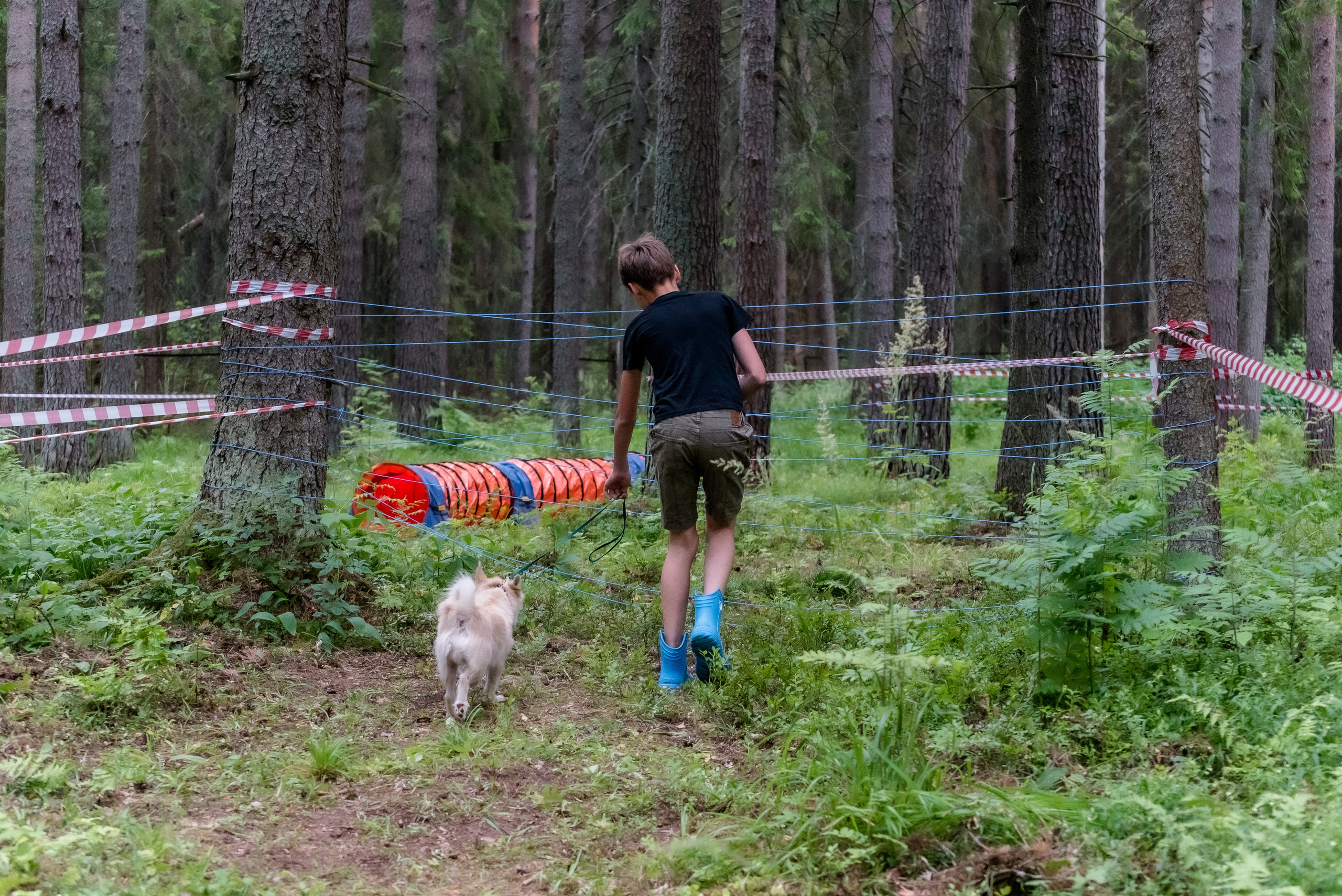 Хвостатые каникулы Детский кинологический лагерь. Фотограф Макс Огурцов в Нижнем Новгороде