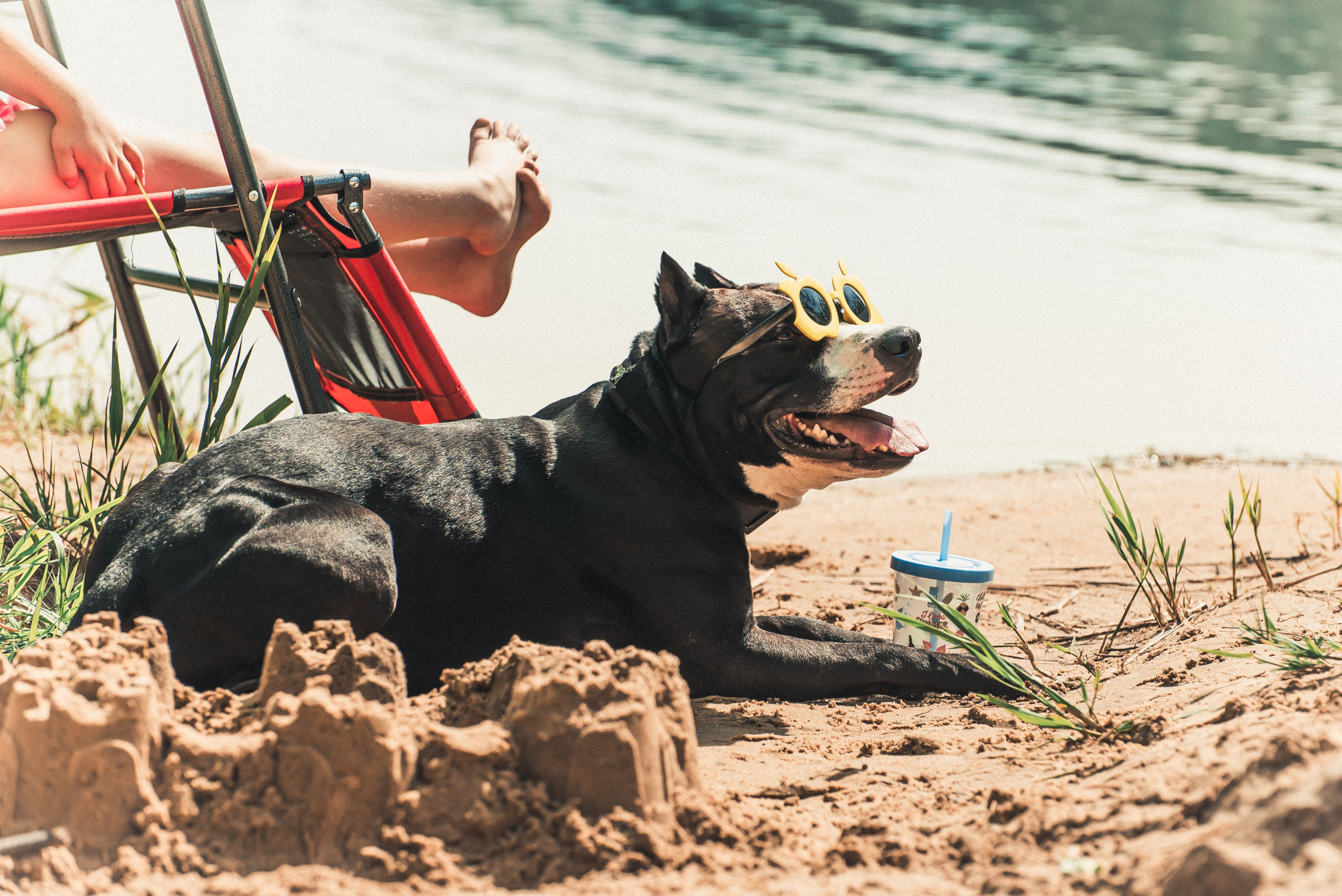 Фотосессия летом на озере. Фотограф Макс Огурцов в Нижнем Новгороде