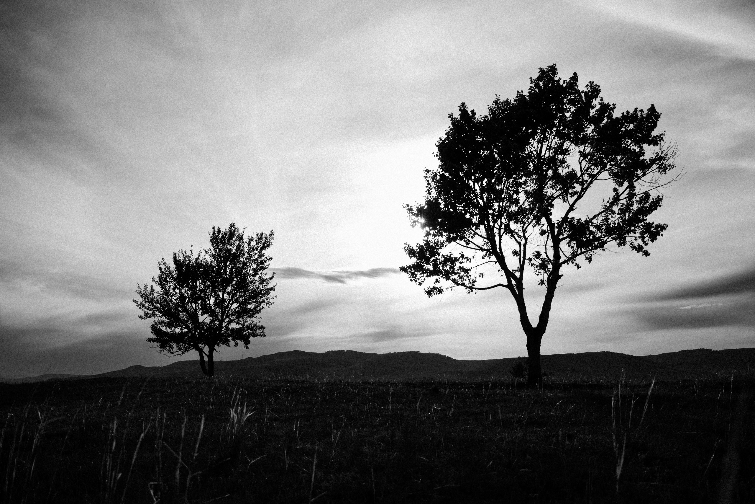 Other. Фотограф Абакан|Фрейман Никита