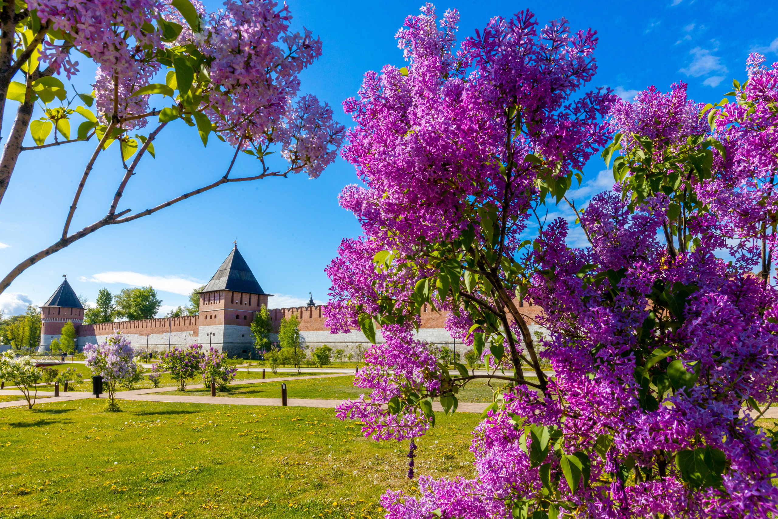 Весеннее цветение в Туле. Фотограф в Туле Крупский АнДРей. Фотостудия «КАДР71» в Туле