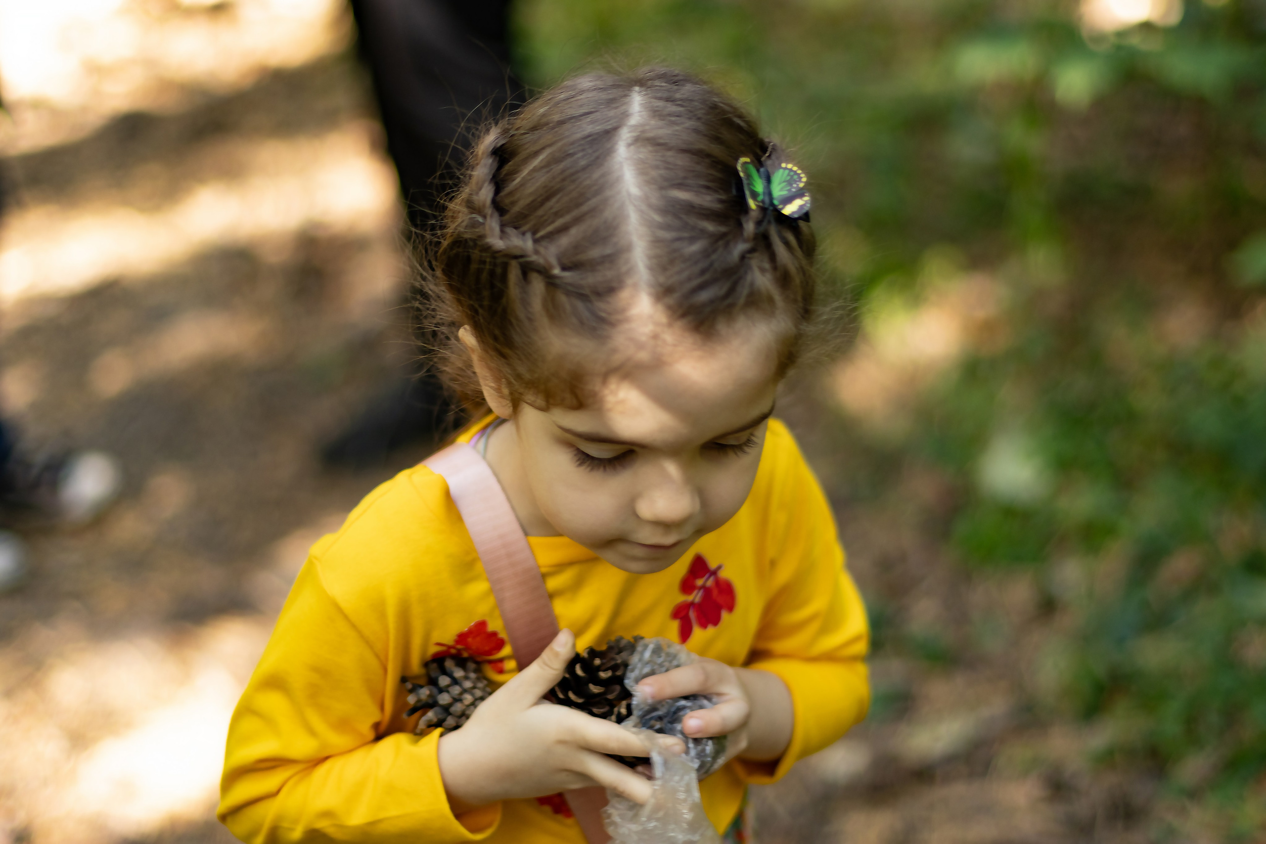 Саша и Маша лесная прогулка. Главная