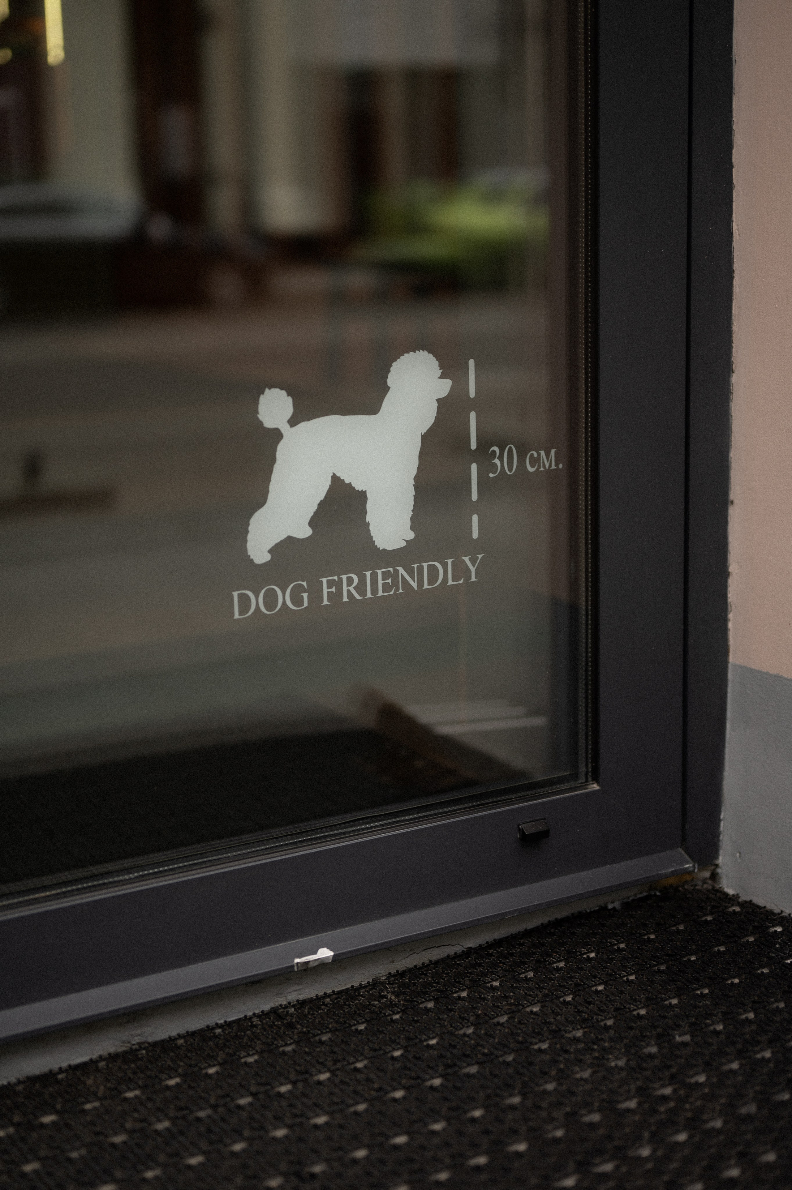 Оля, Андрей и Балу. Фотограф Иркутск Лепетанова Марианна