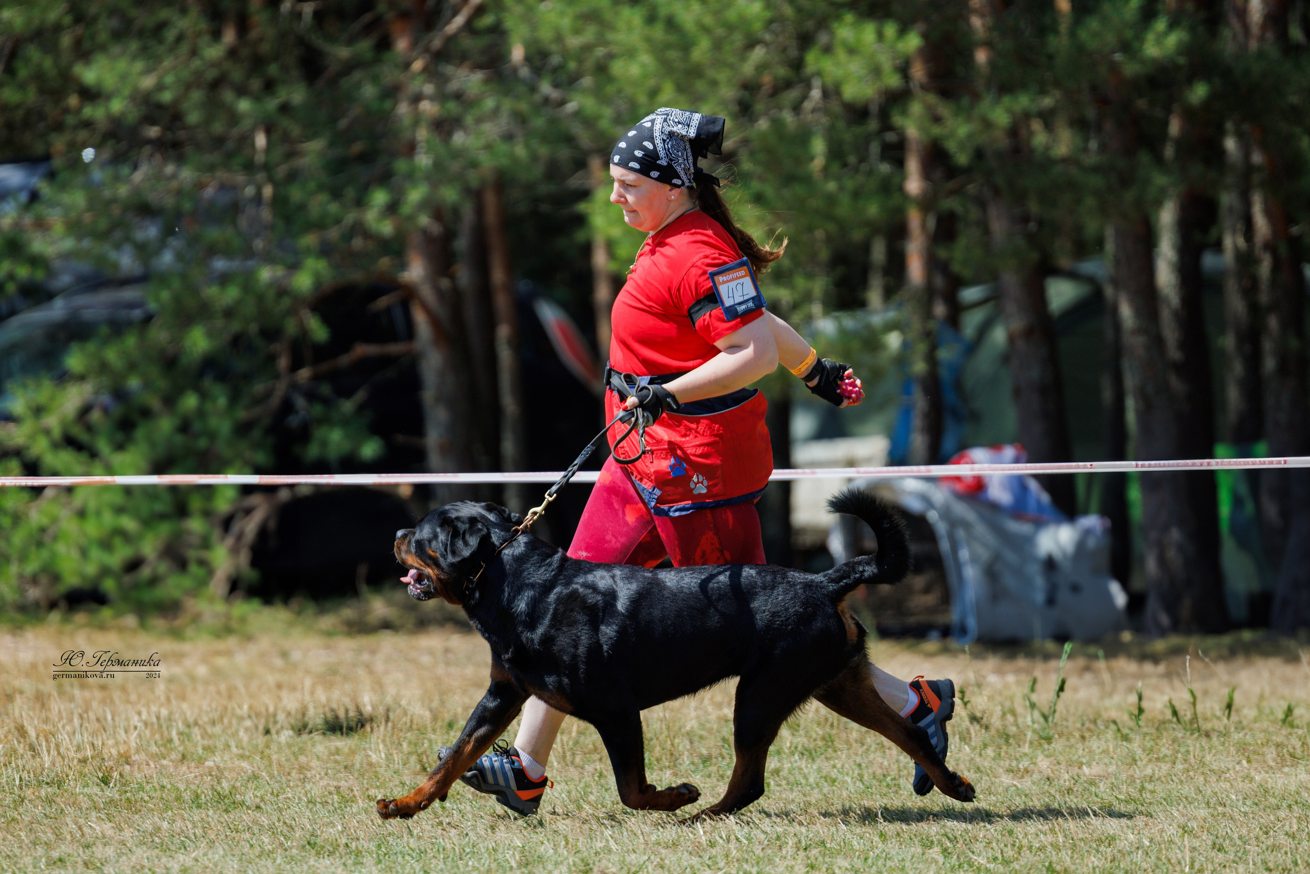 ПК и КЧК ротвейлеры Тверь 6-7.07.2024. Фотограф-анималист Юлия Германика