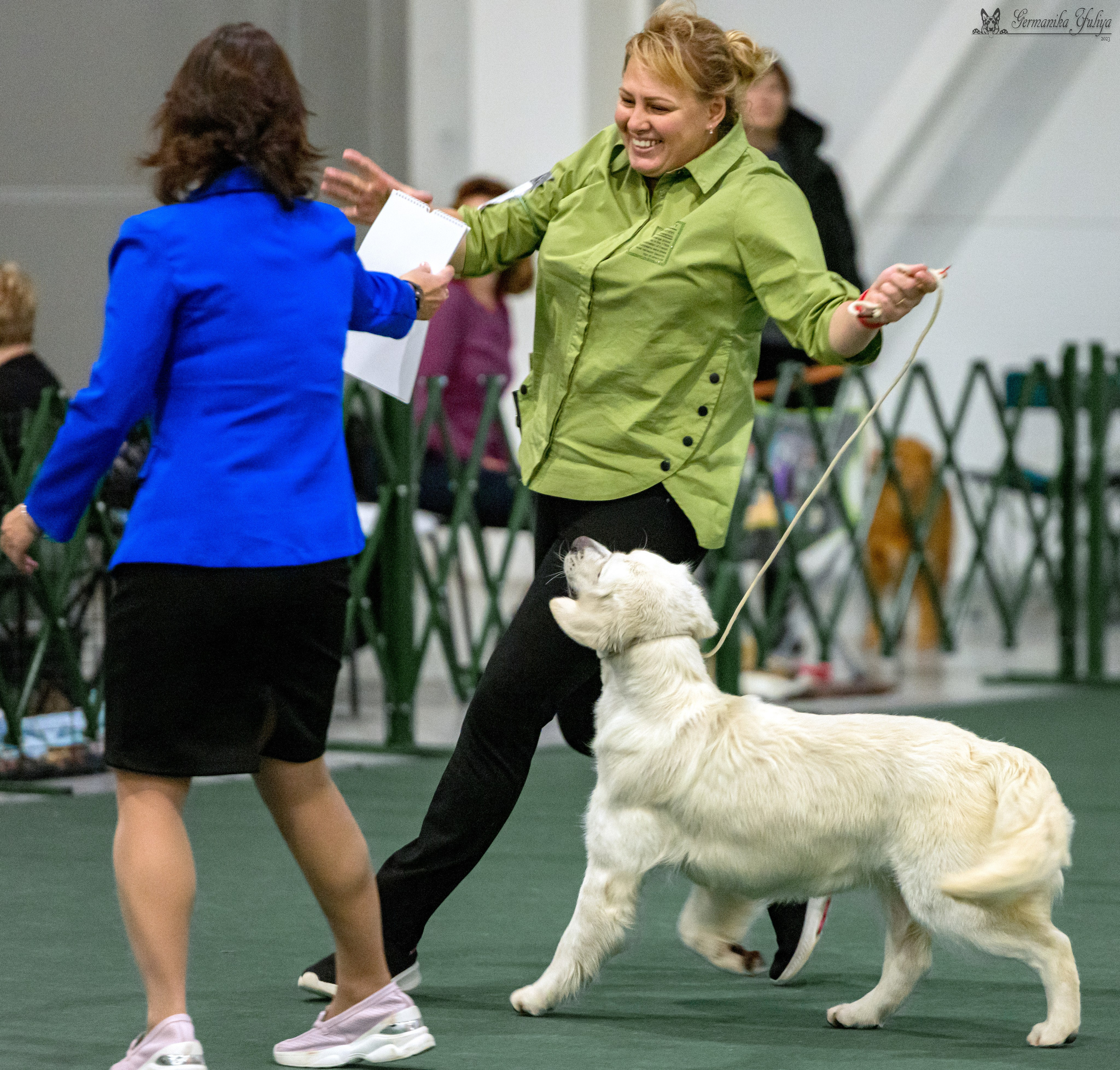 Сфера 29.10,Крокус 4.11,Сфера 12.11.2023. Фотограф-анималист Юлия Германика