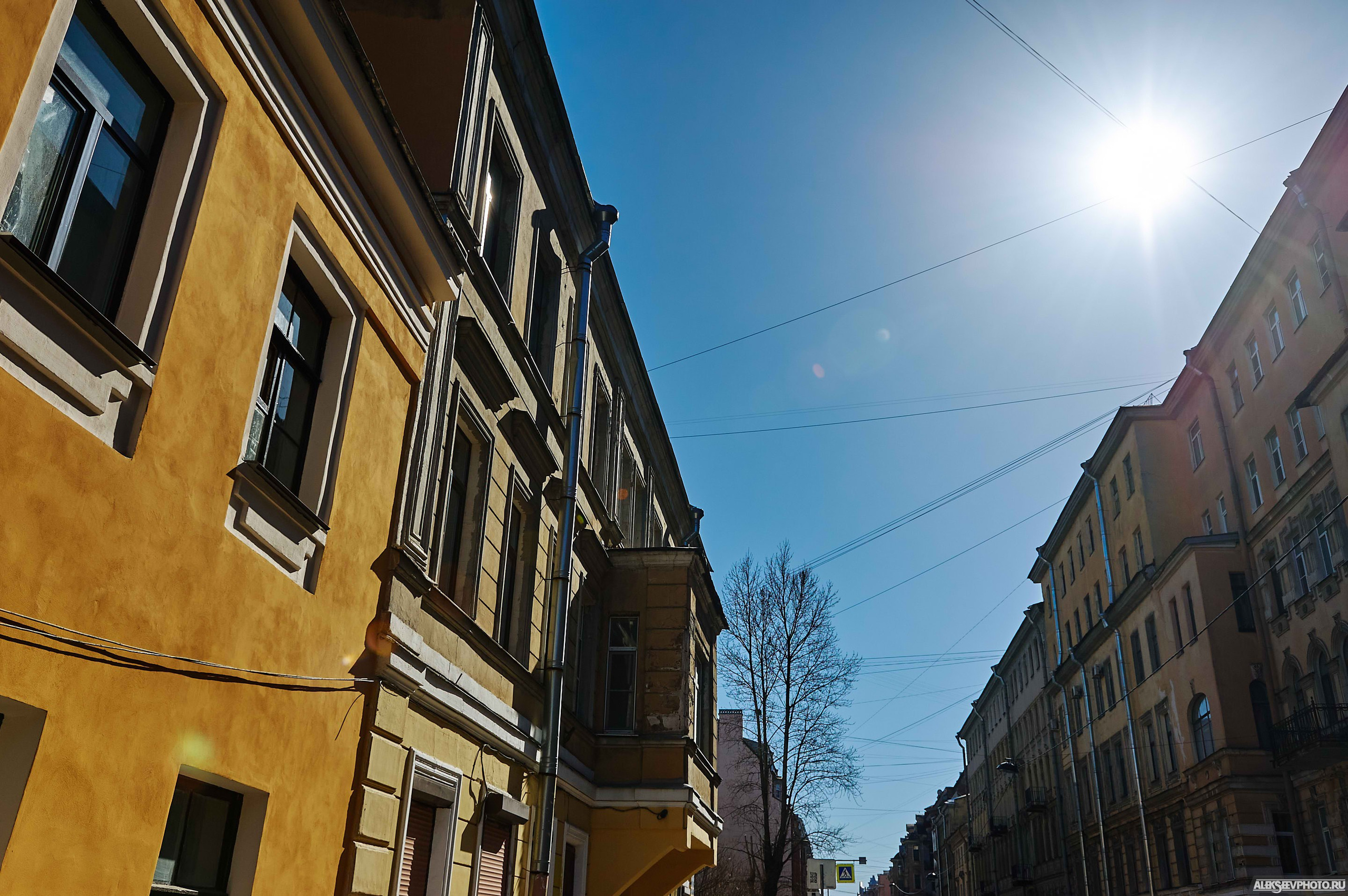 2021.04. Фотограф Алексей Алексеев