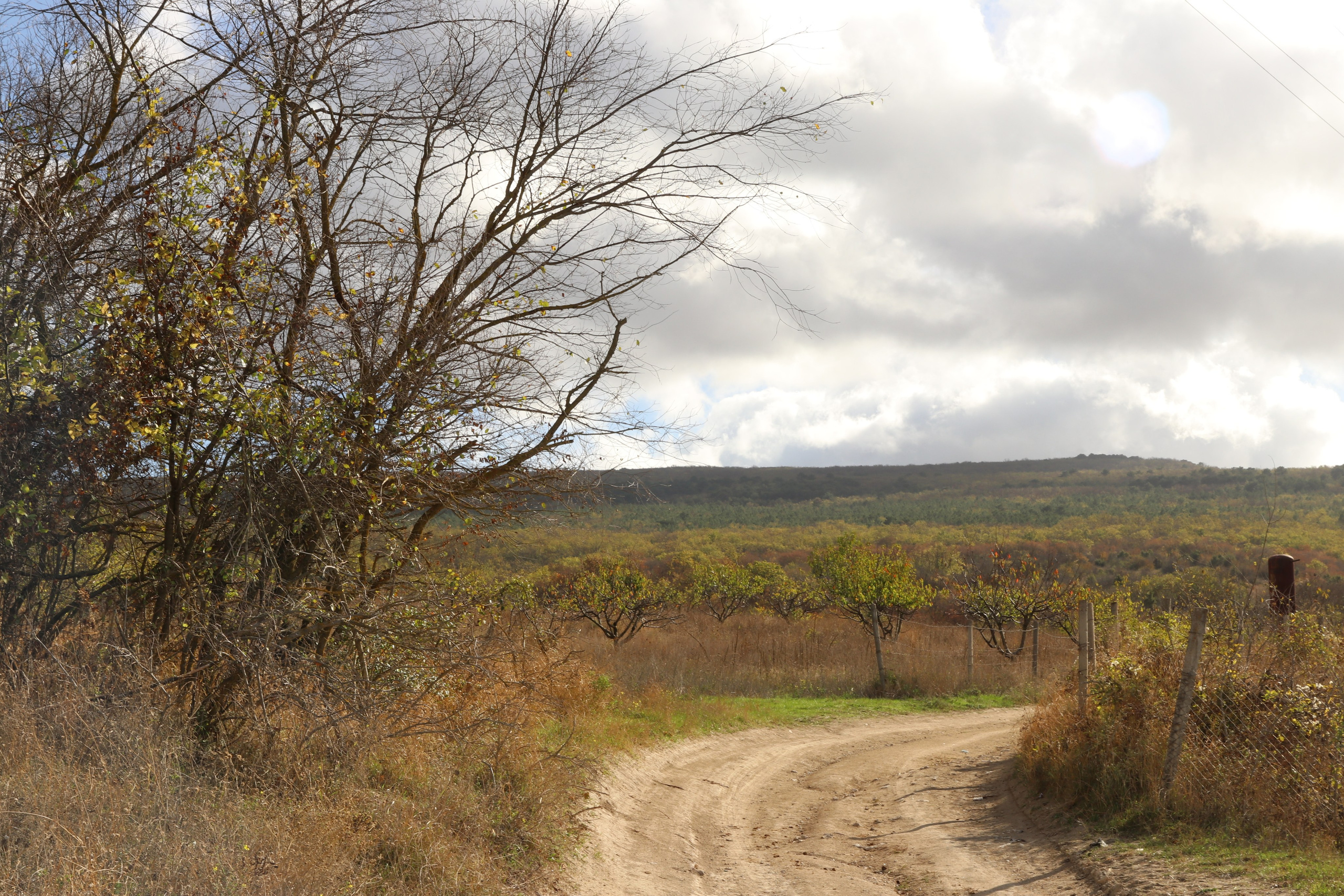 Крым. ЮБК (Гурзуф, Судак и их окрестности). Ноябрь 2023. Путешественник-фотограф из Санкт-Петербурга Татьяна Свистулина
