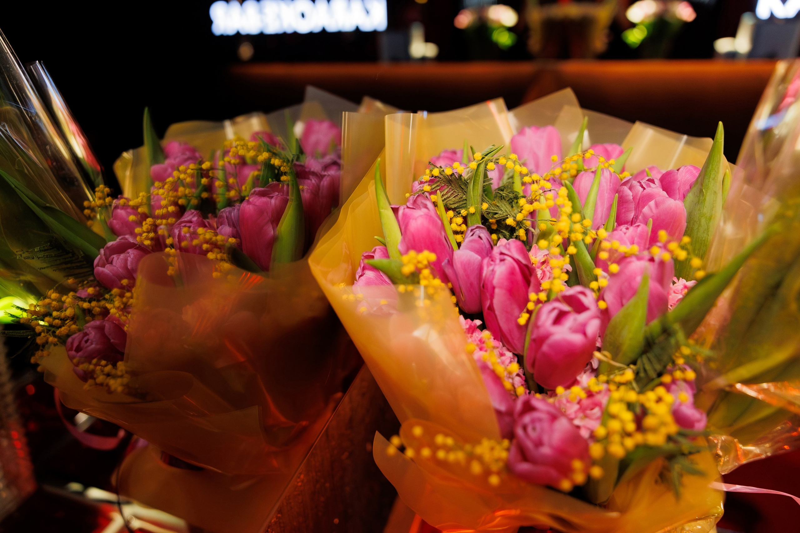 SOLOVI. СВОИ. ФОТООТЧЕТЫ-СОБЫТИЯ-МЕСТА