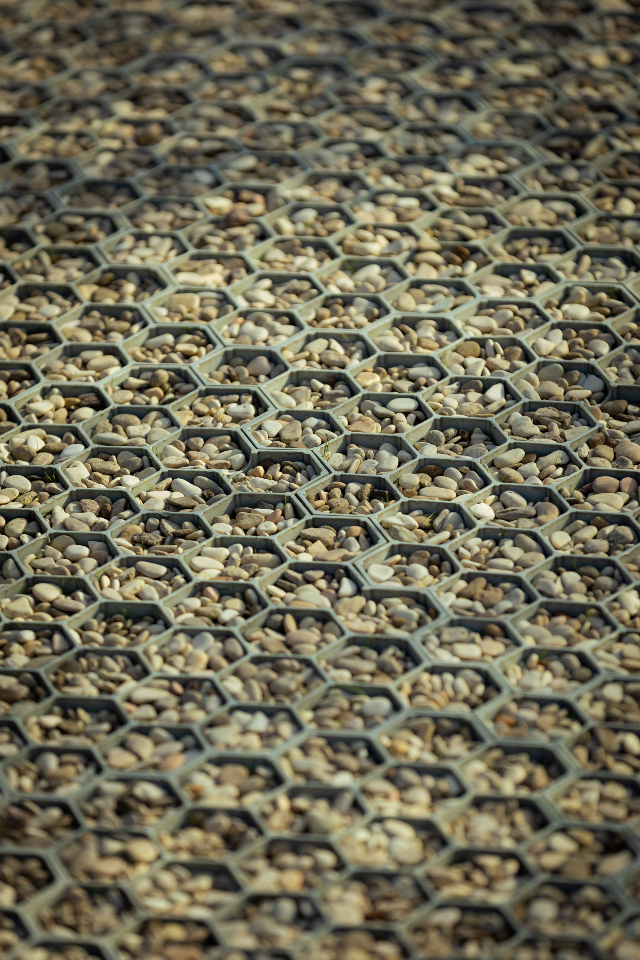 Кольский (осень 2025). Фотограф Виноградов Константин