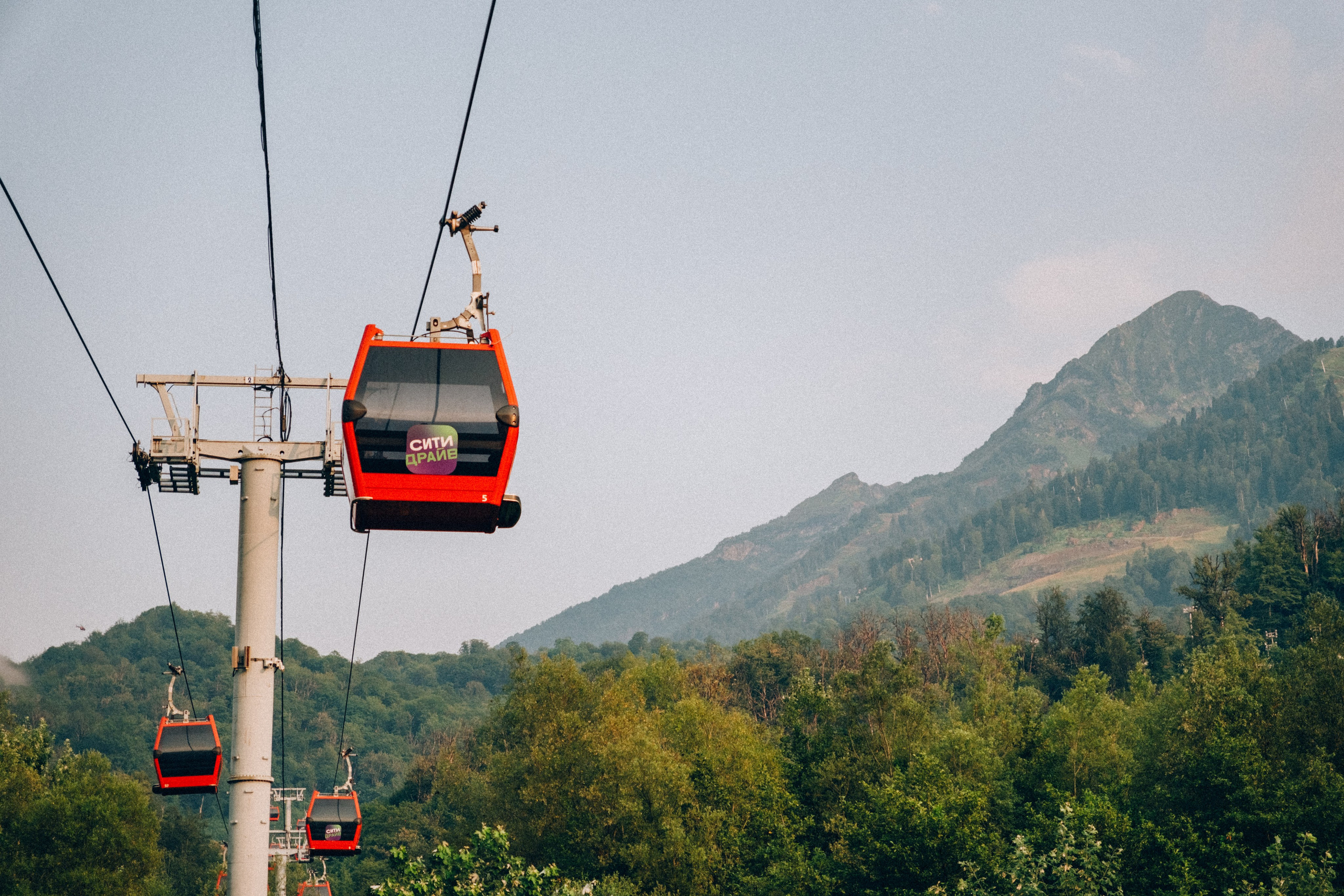 Grounded Festivals 2025. Репортажный фотограф в Сочи Екатерина Вежливцева