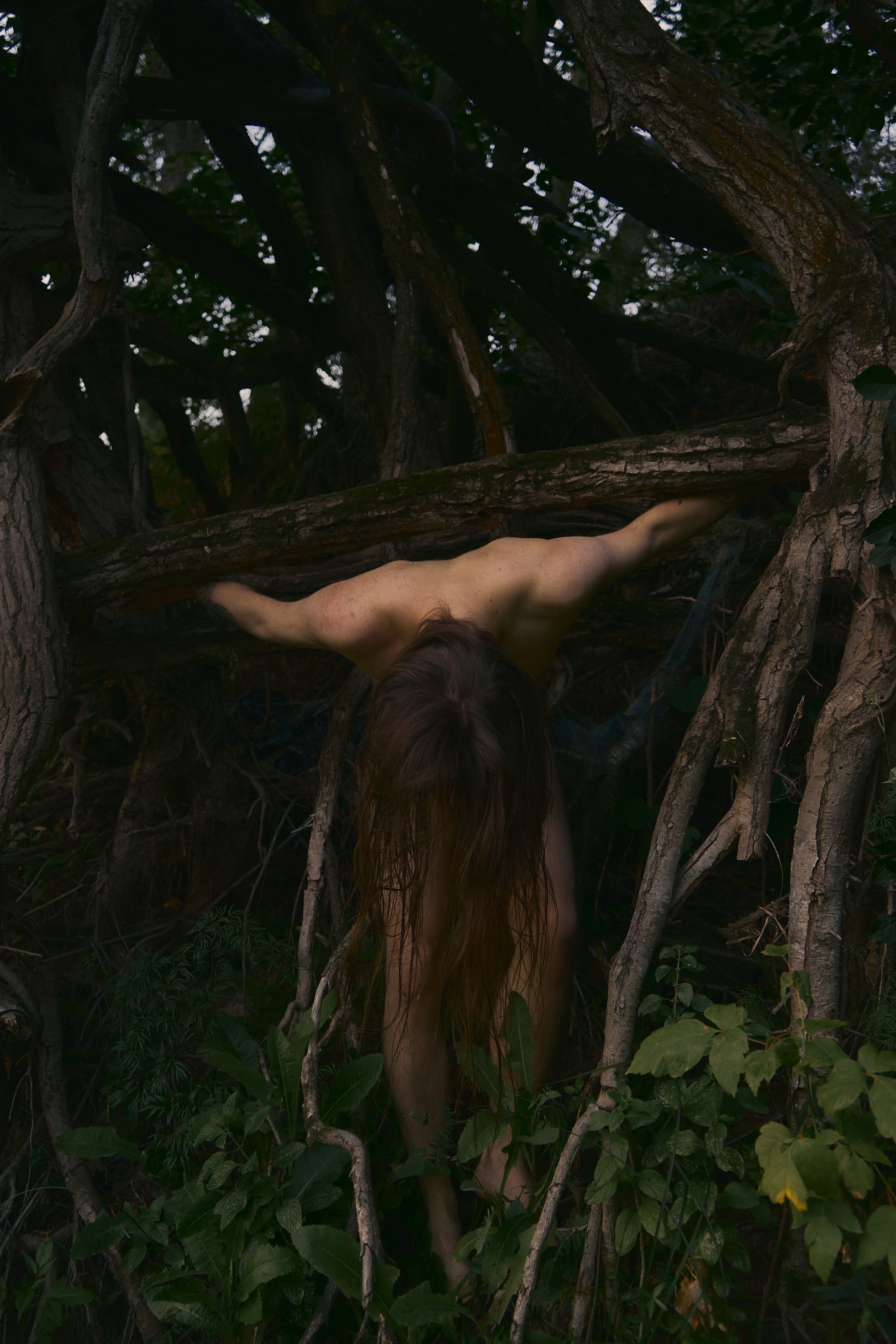 фотосессия самара, фотограф в самаре, фотосессия на природе, фотосессия ню, фотограф, заказать фотосъёмку, индивидуальная фотосессия самара, фотографии для интерьера, фотопостер