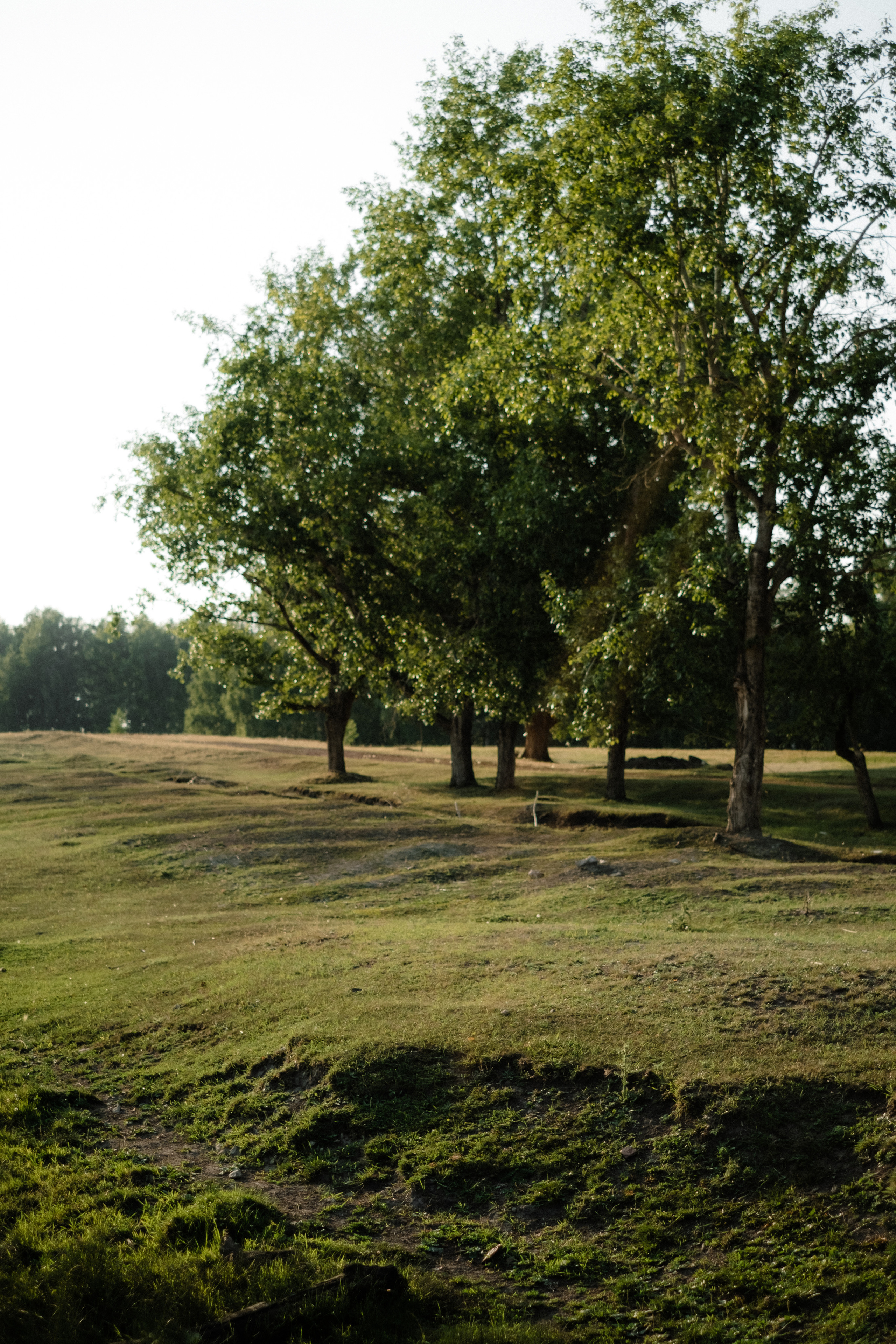 Саша. Фотограф в Санкт-Петербурге Мария Комолитдинова