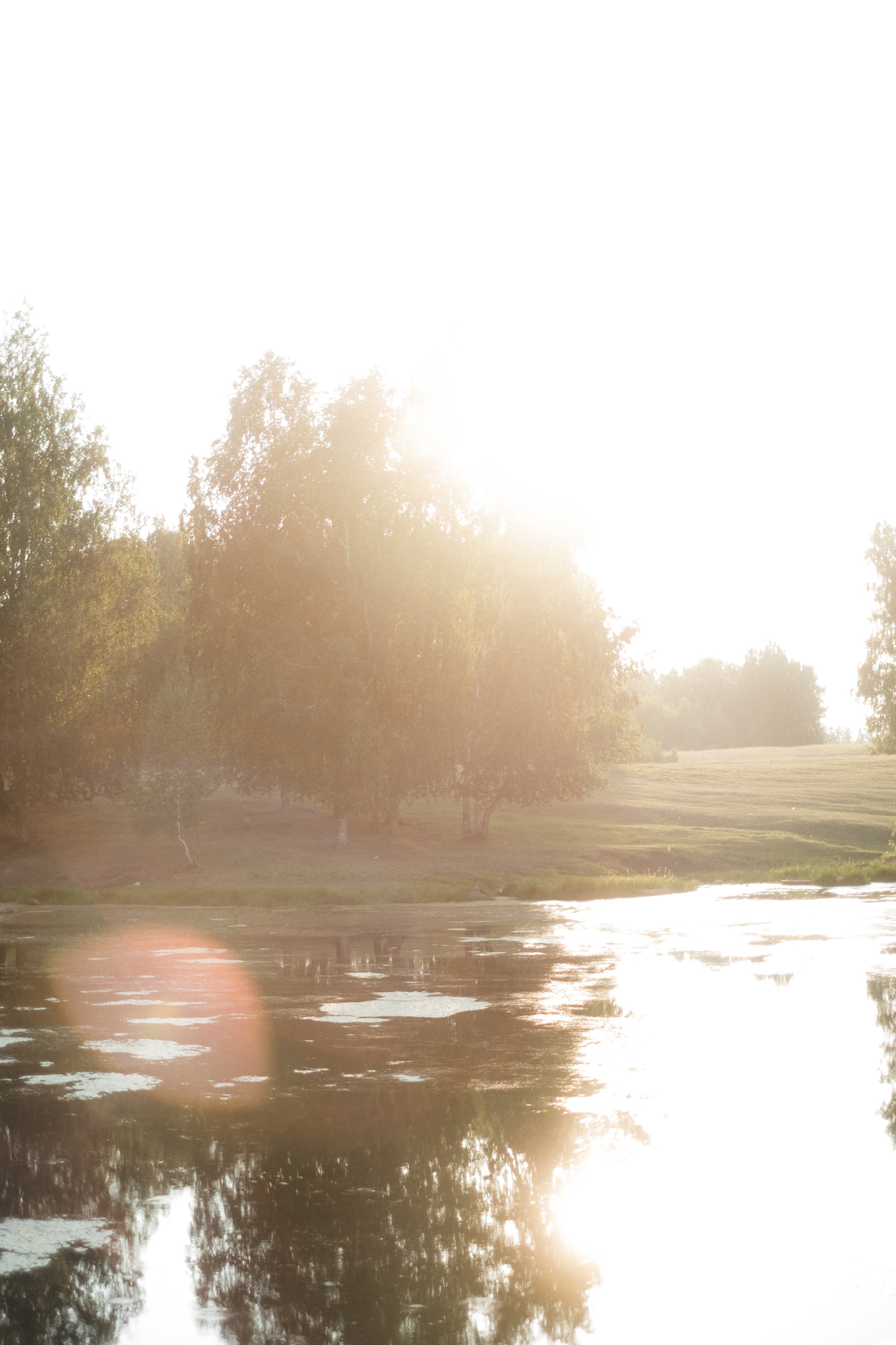 Саша. Фотограф в Санкт-Петербурге Мария Комолитдинова